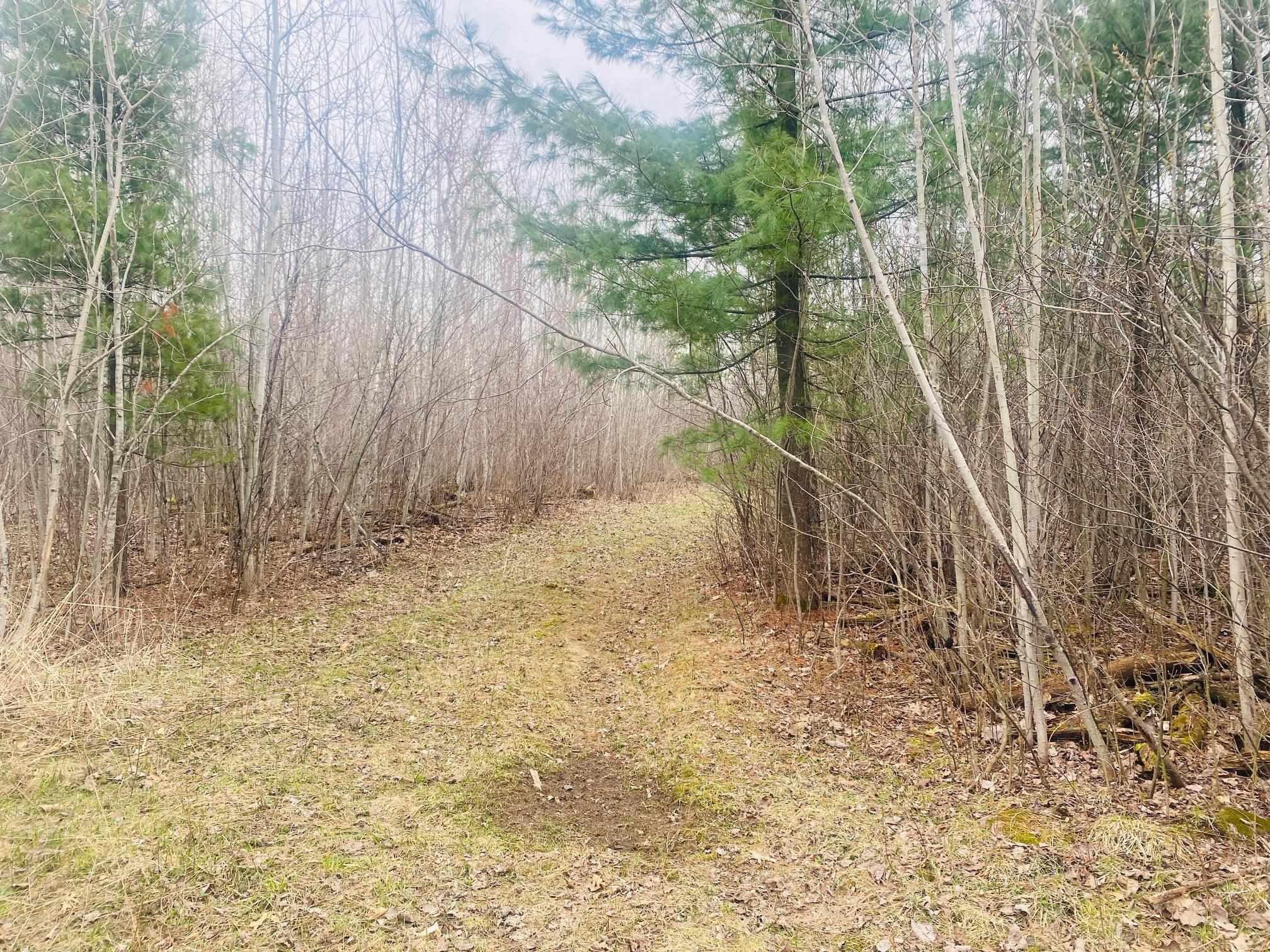 42.53a County Road Q Property Photo 5