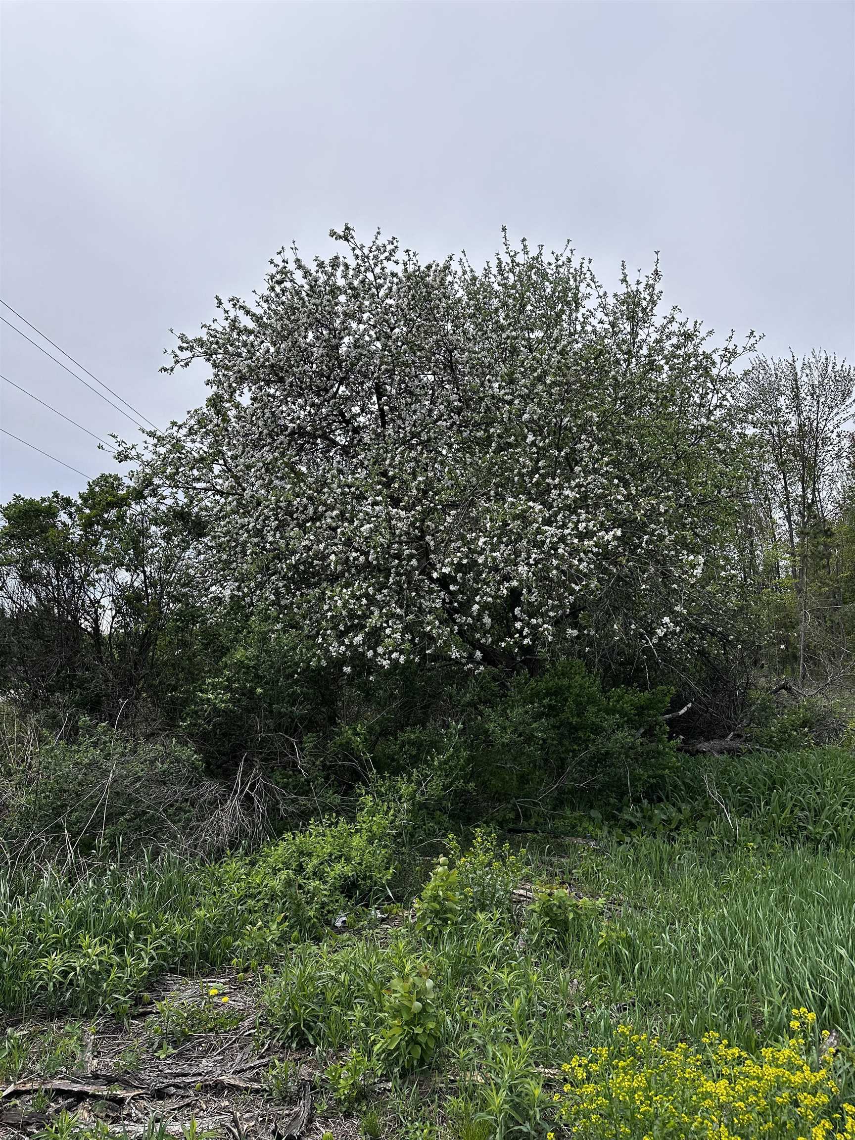 01 Granite Road Property Photo 4