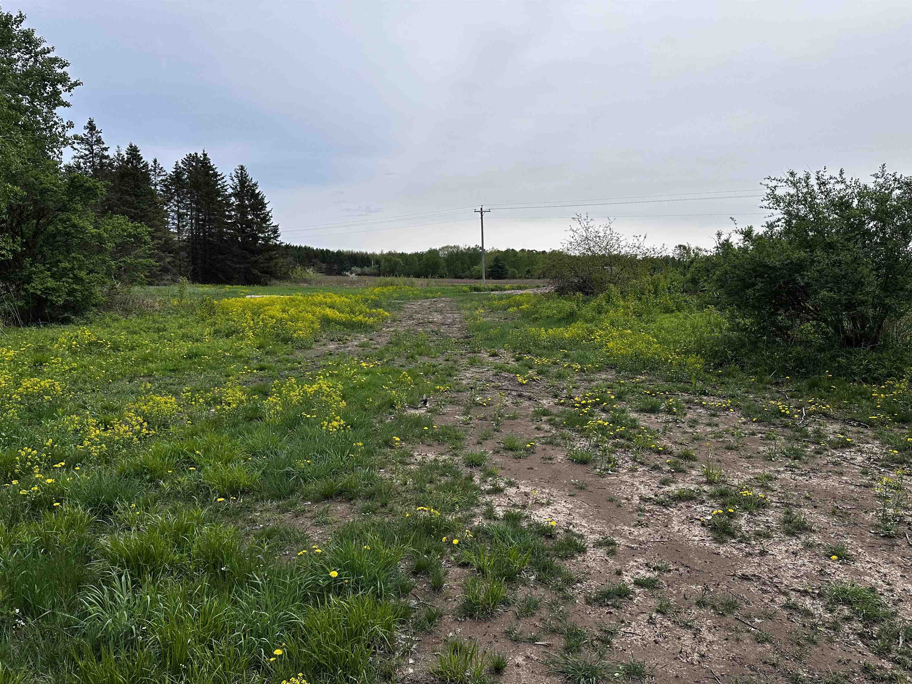 01 Granite Road Property Photo 5
