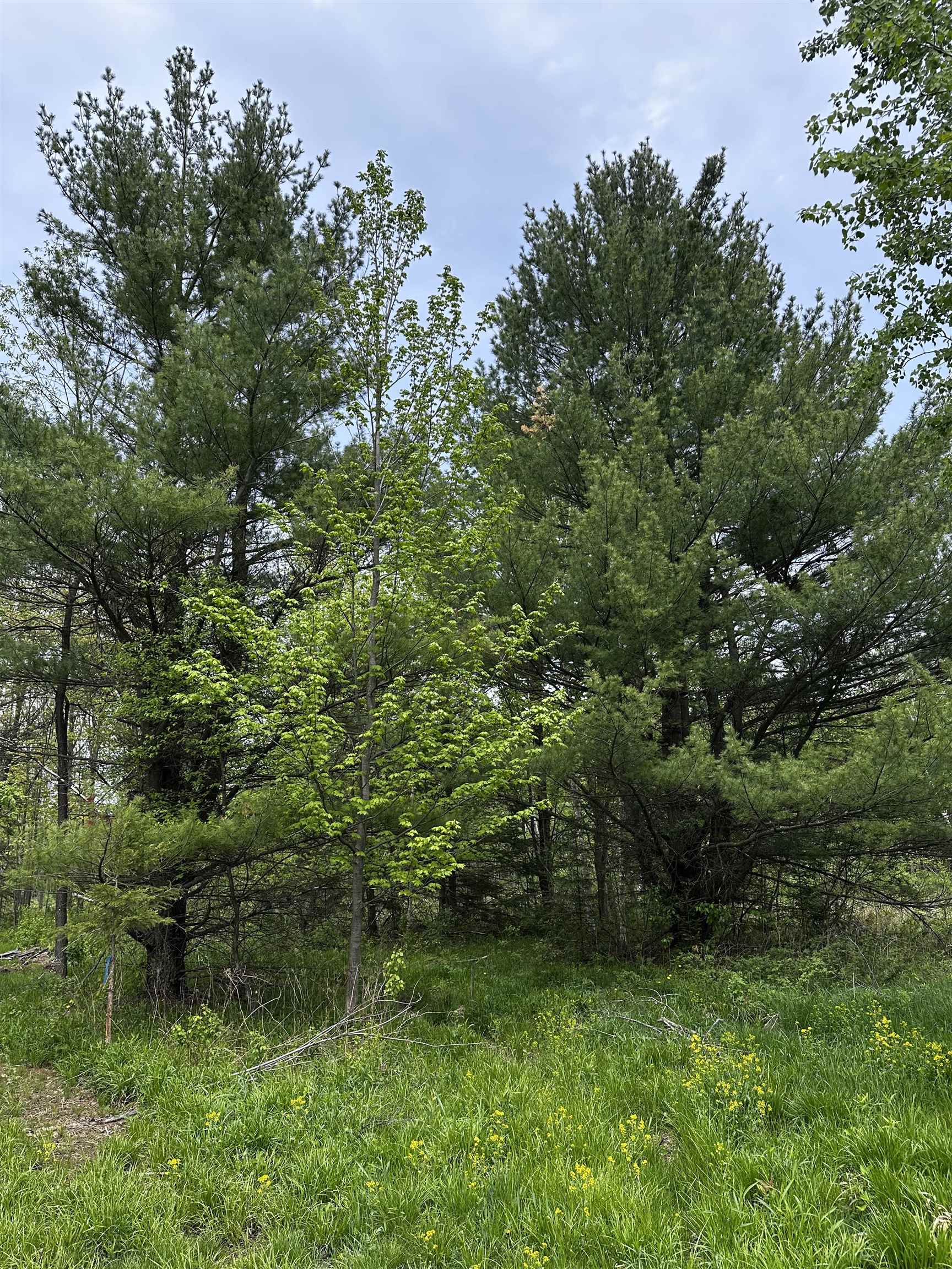 01 Granite Road Property Photo 6