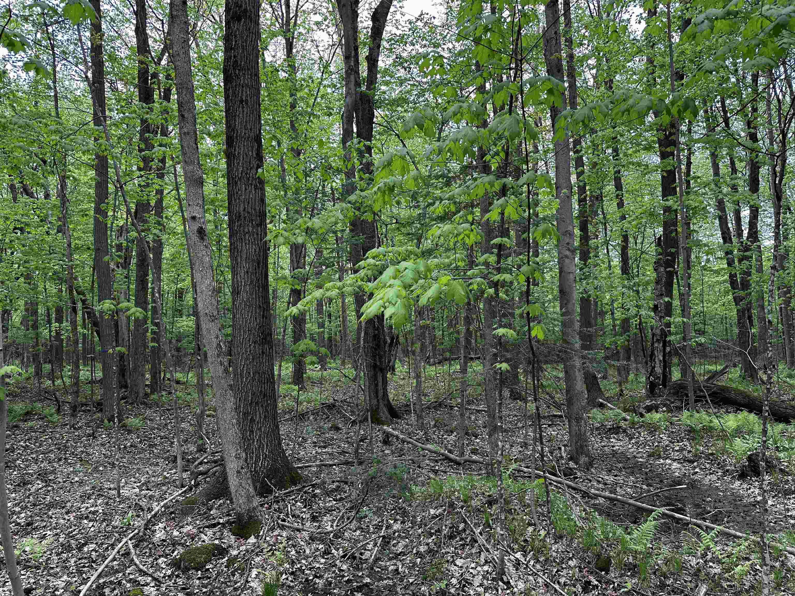 01 Granite Road Property Photo 7