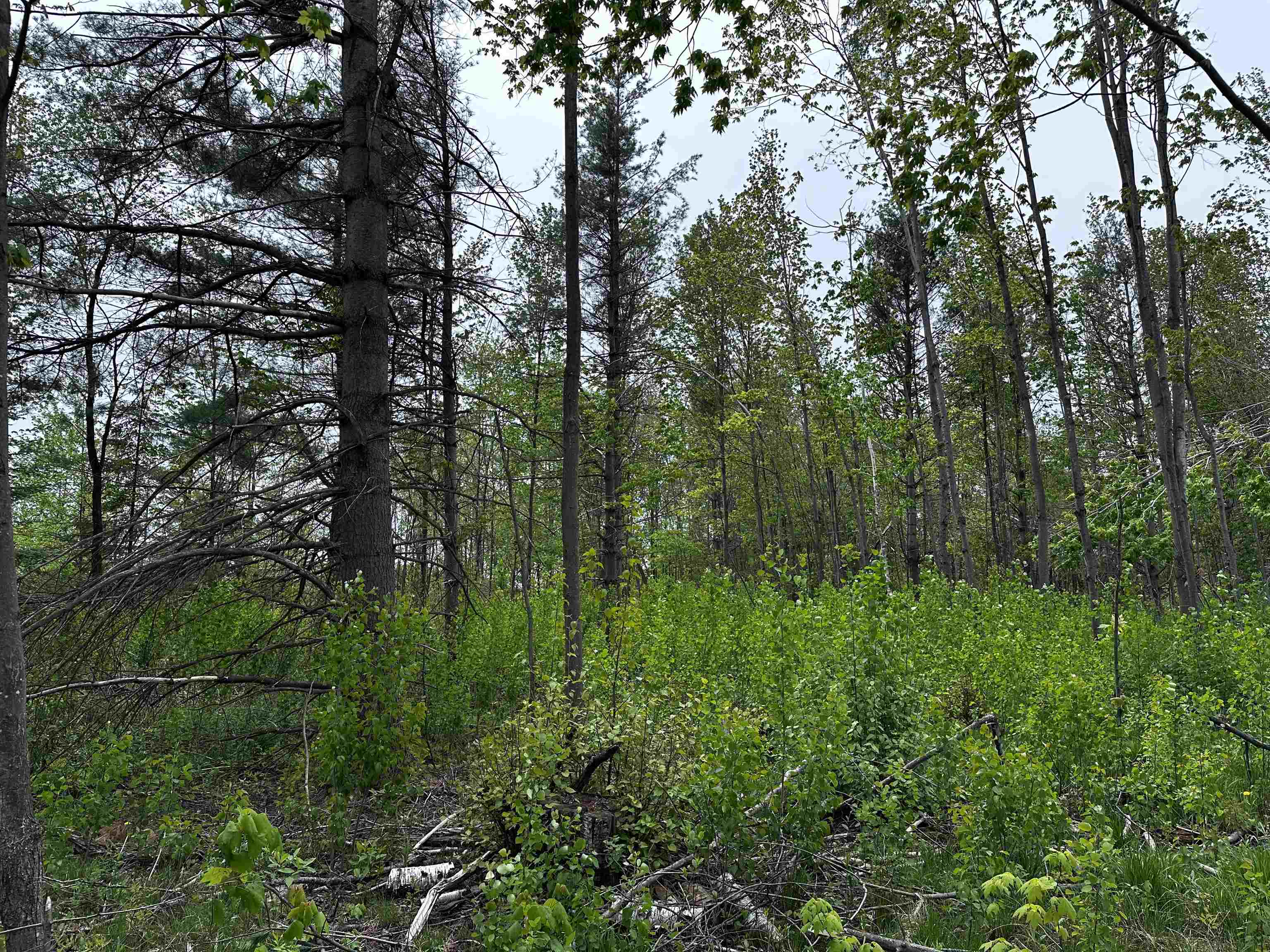 01 Granite Road Property Photo 10