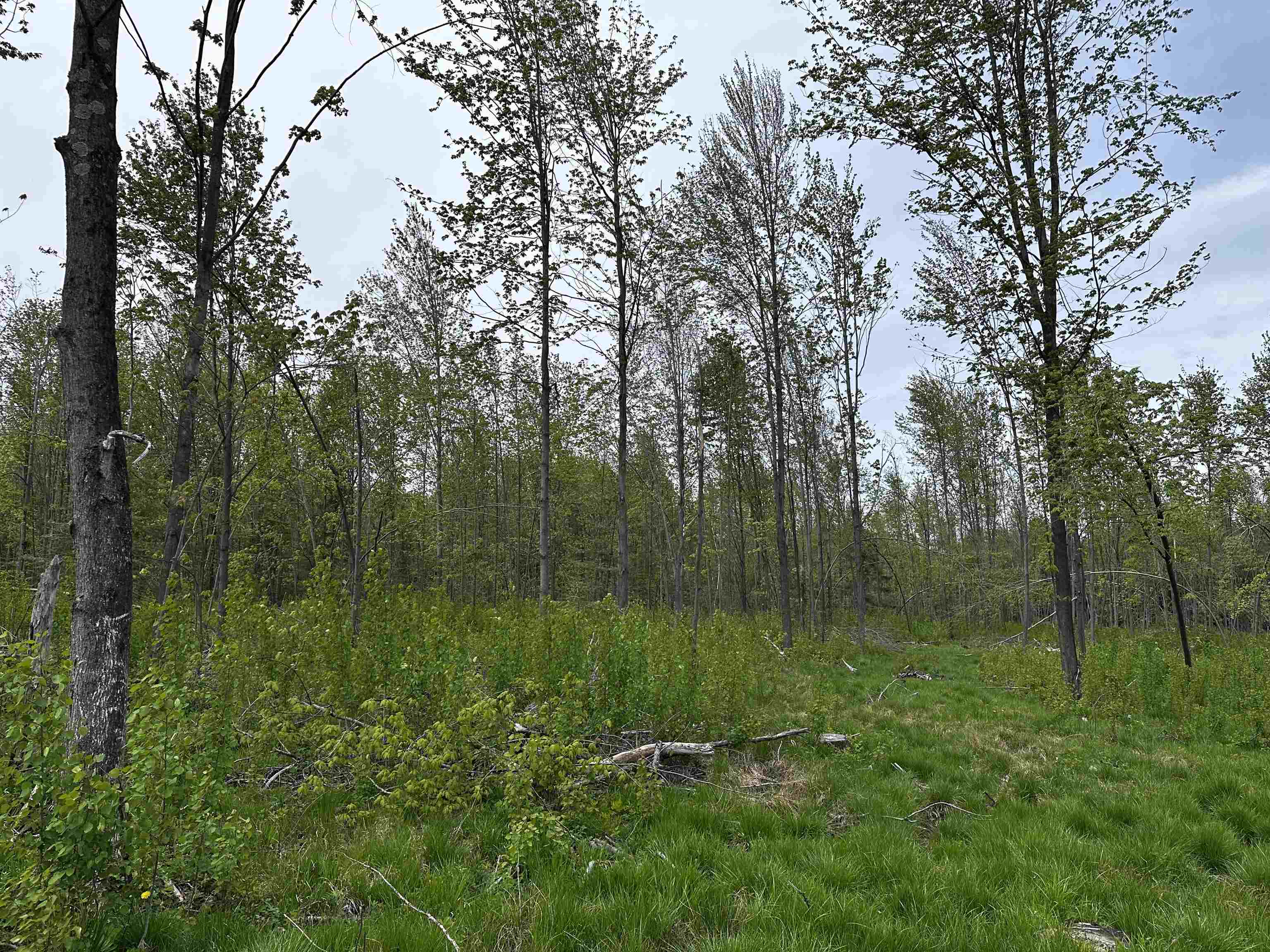 01 Granite Road Property Photo 11