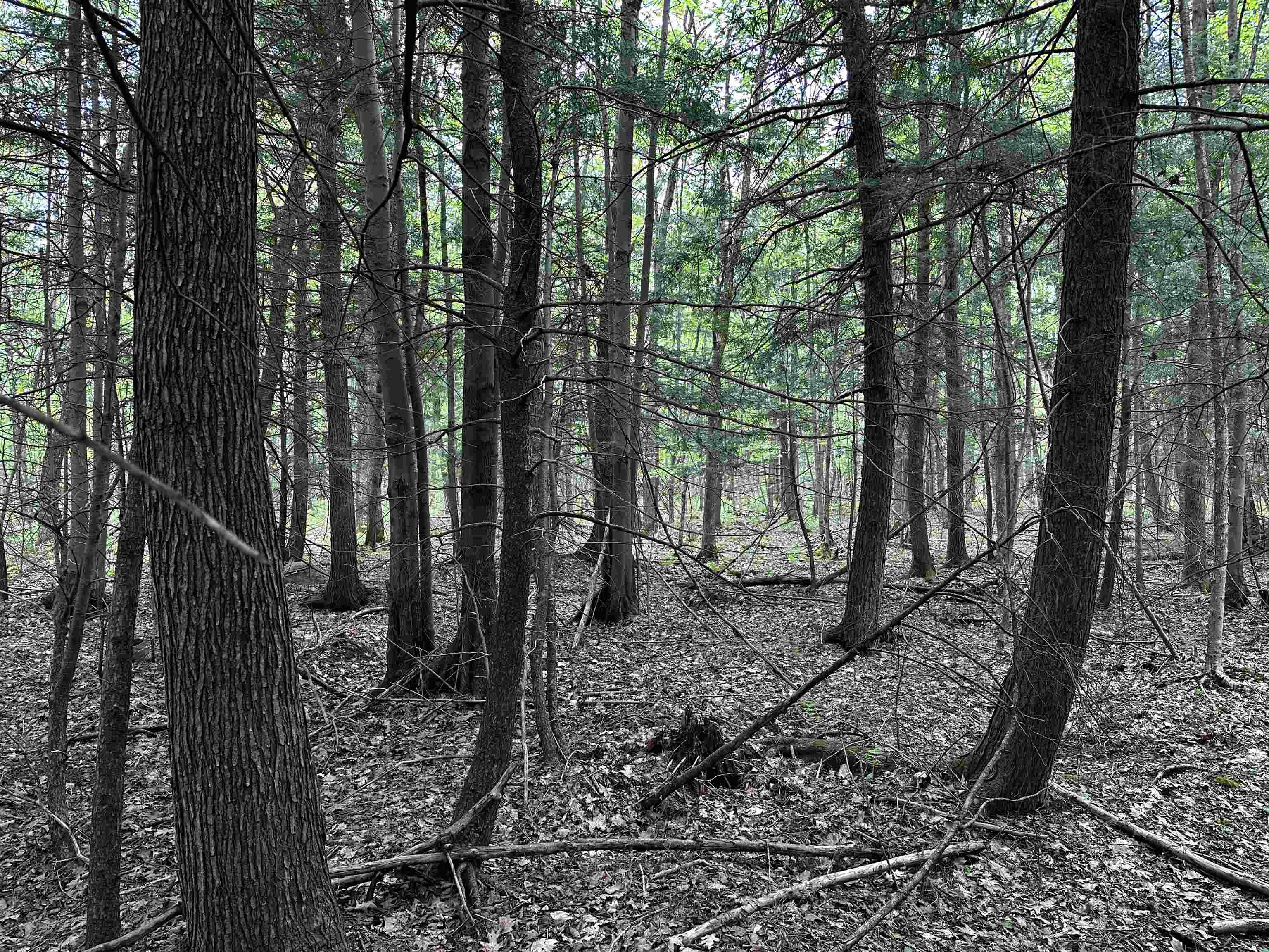 01 Granite Road Property Photo 12