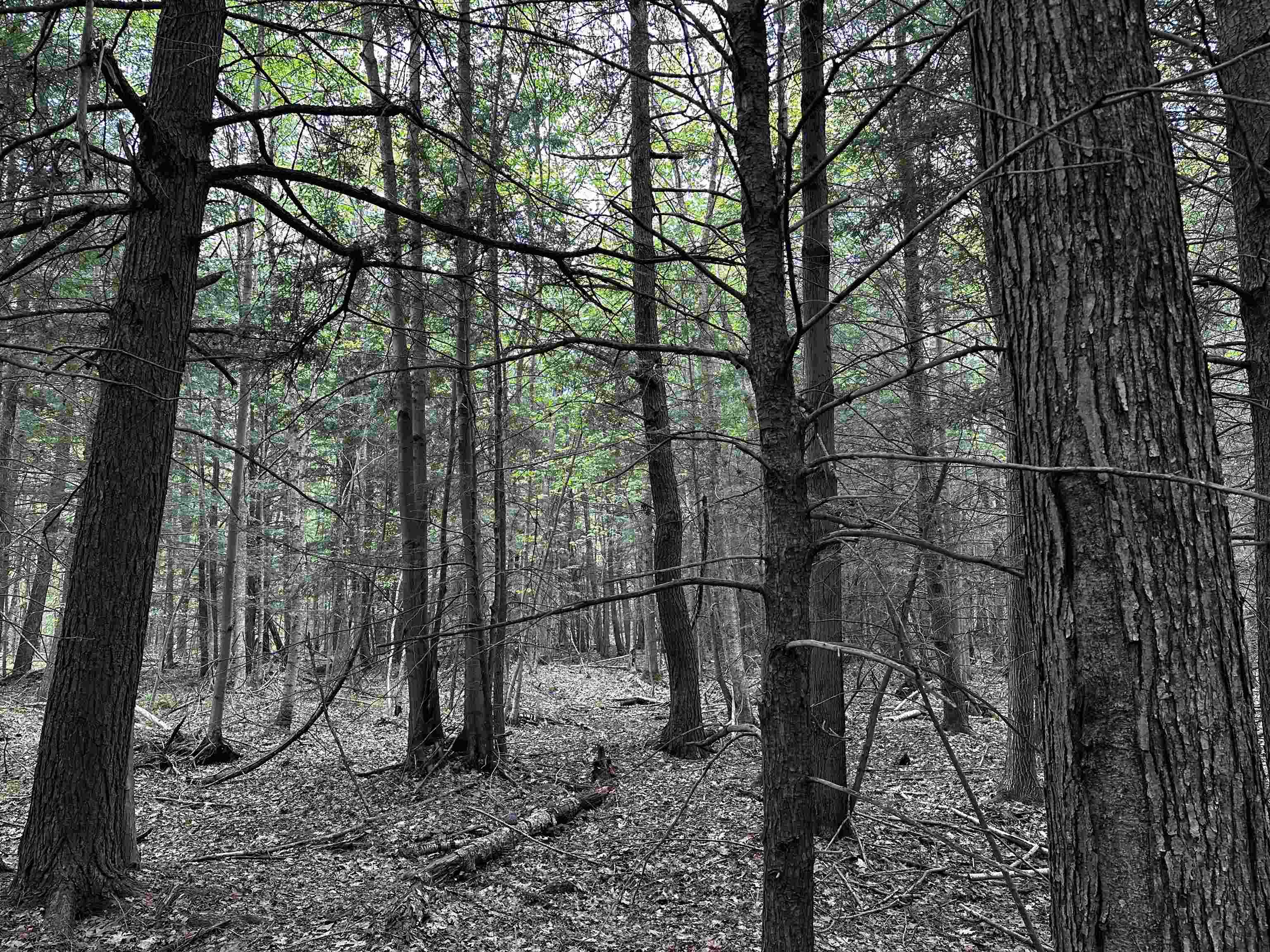 01 Granite Road Property Photo 13