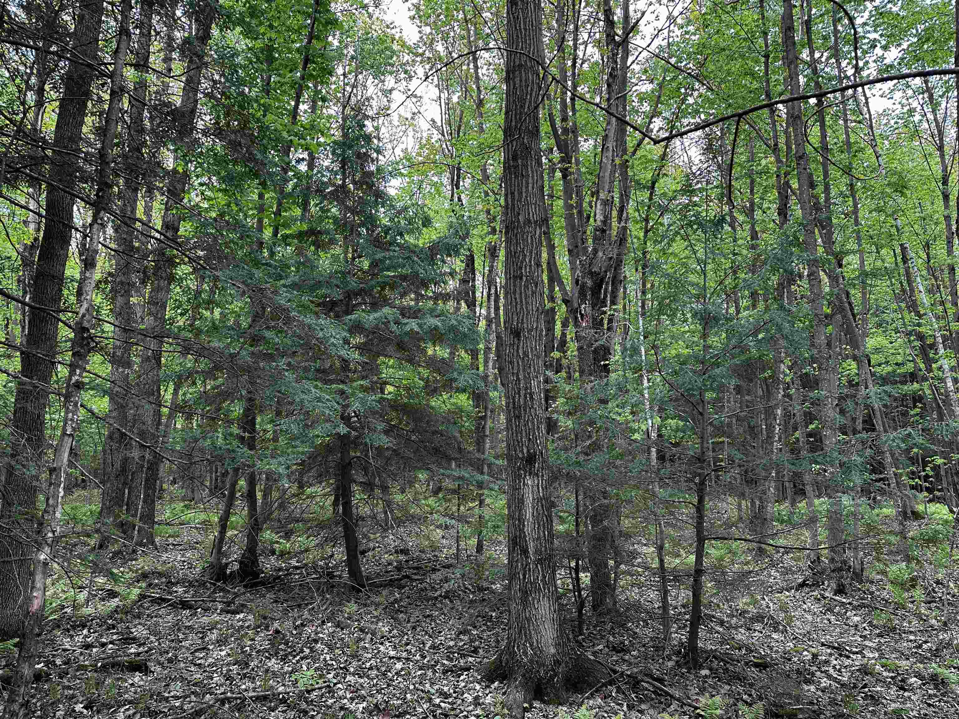 01 Granite Road Property Photo 14