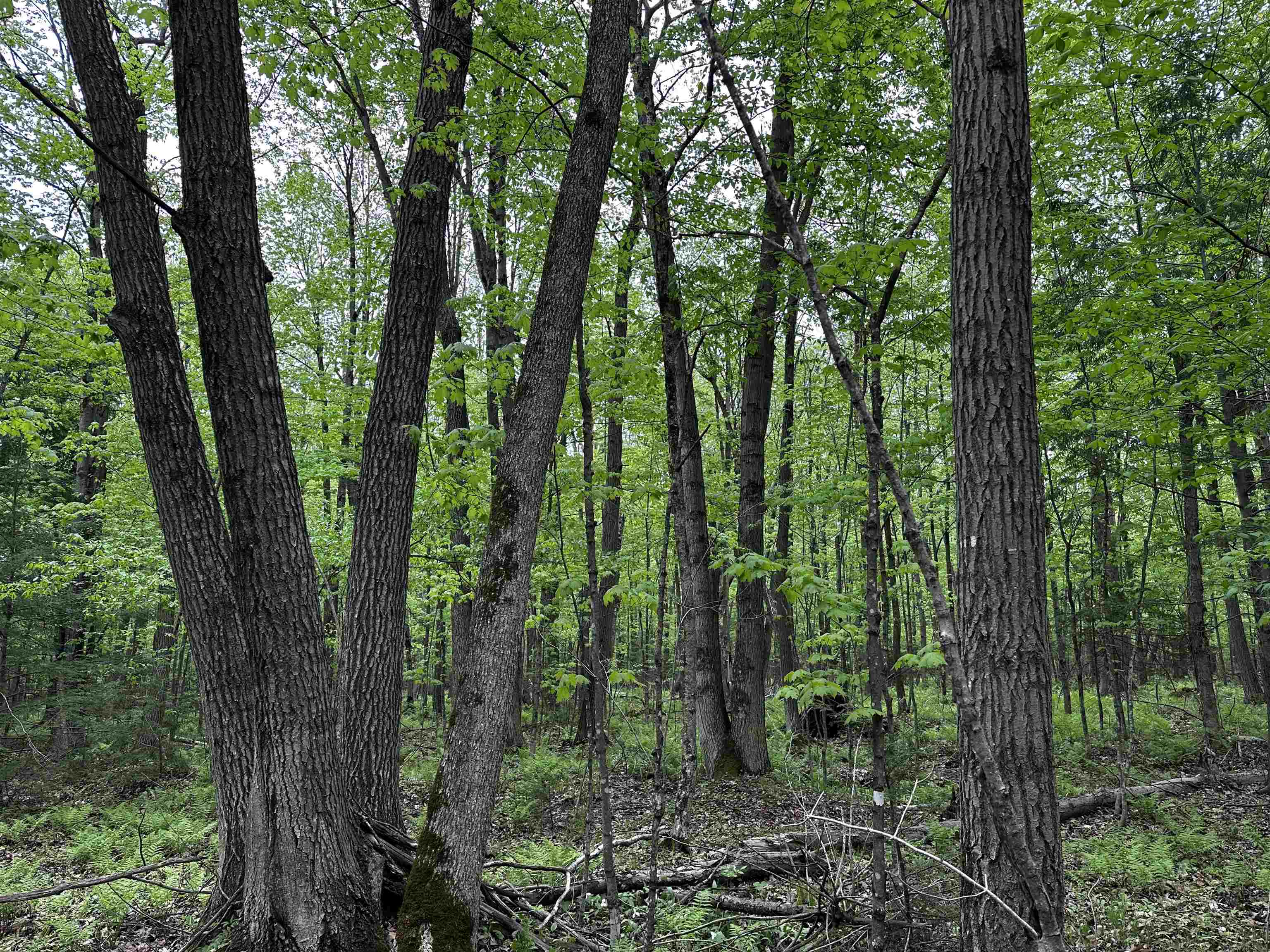 01 Granite Road Property Photo 15