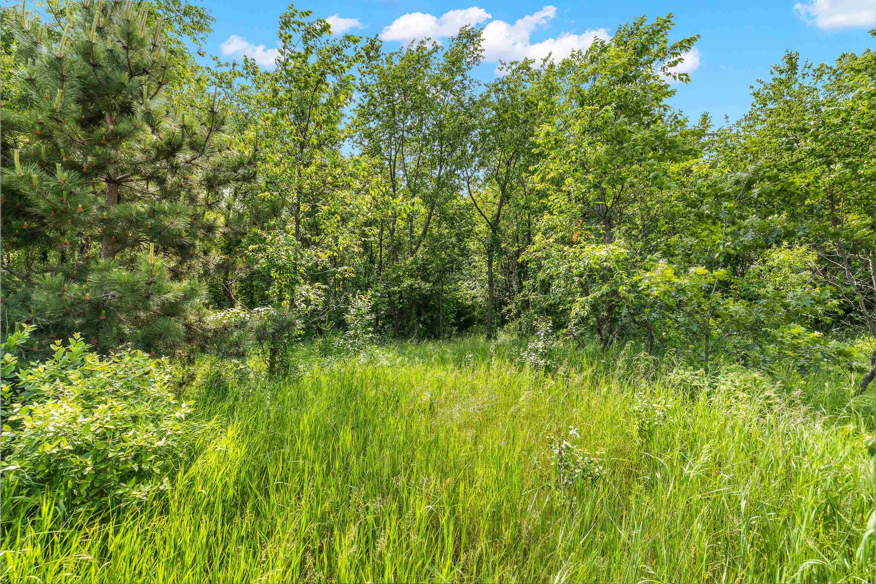 Lot 18 Chokecherry Lane Property Photo 1
