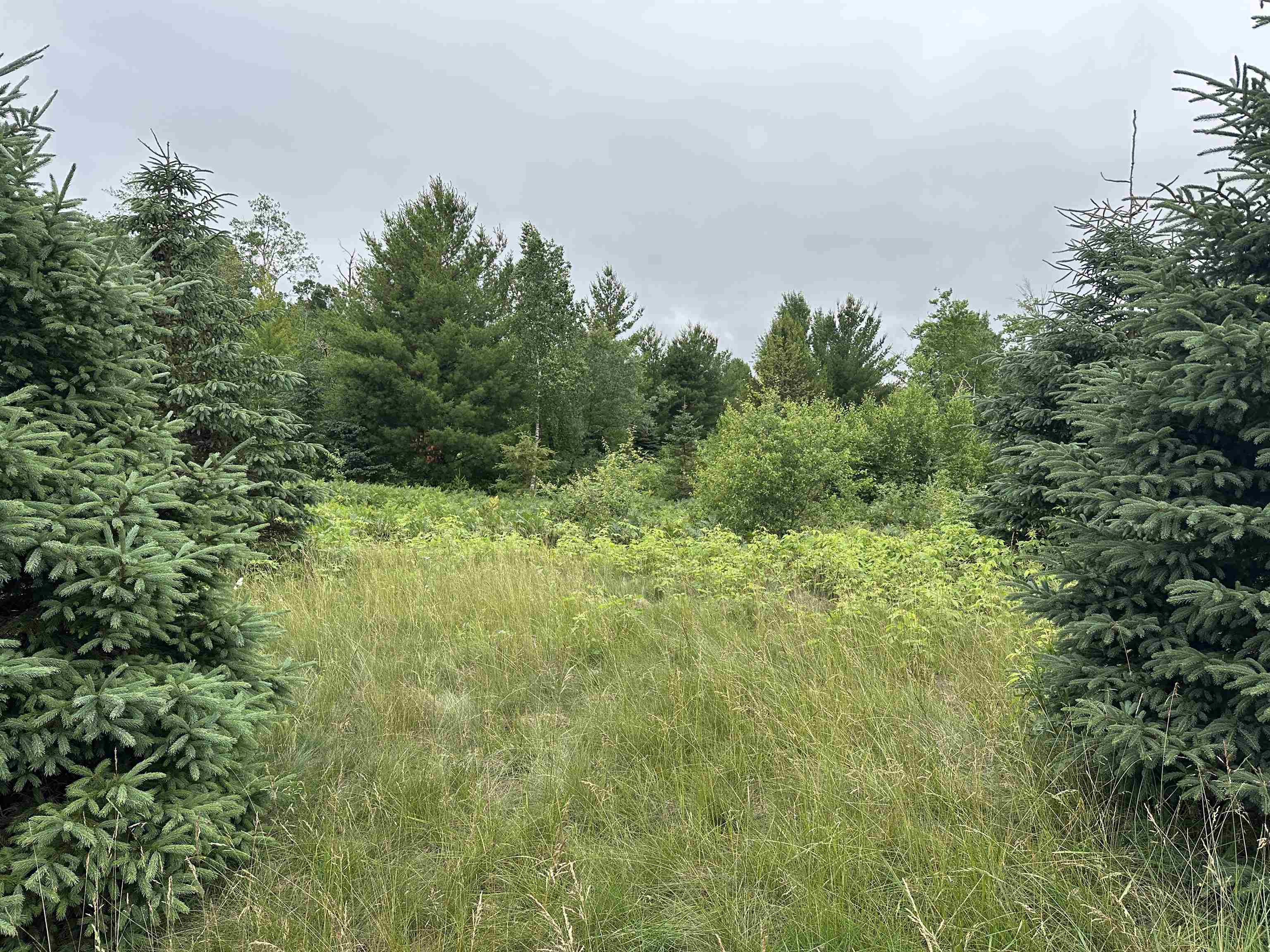 Lot 41 Point Trail Property Photo 2