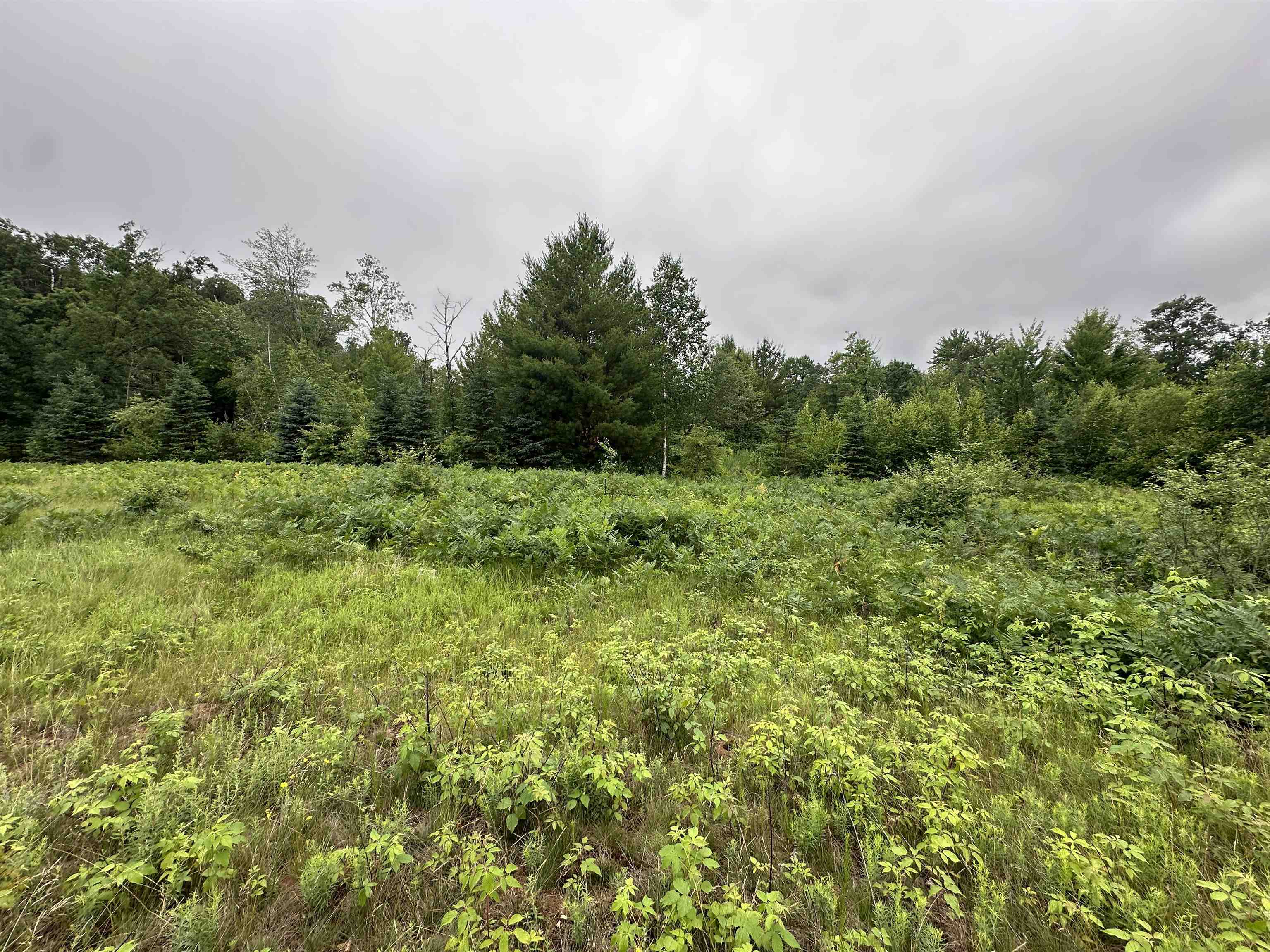 Lot 41 Point Trail Property Photo 3