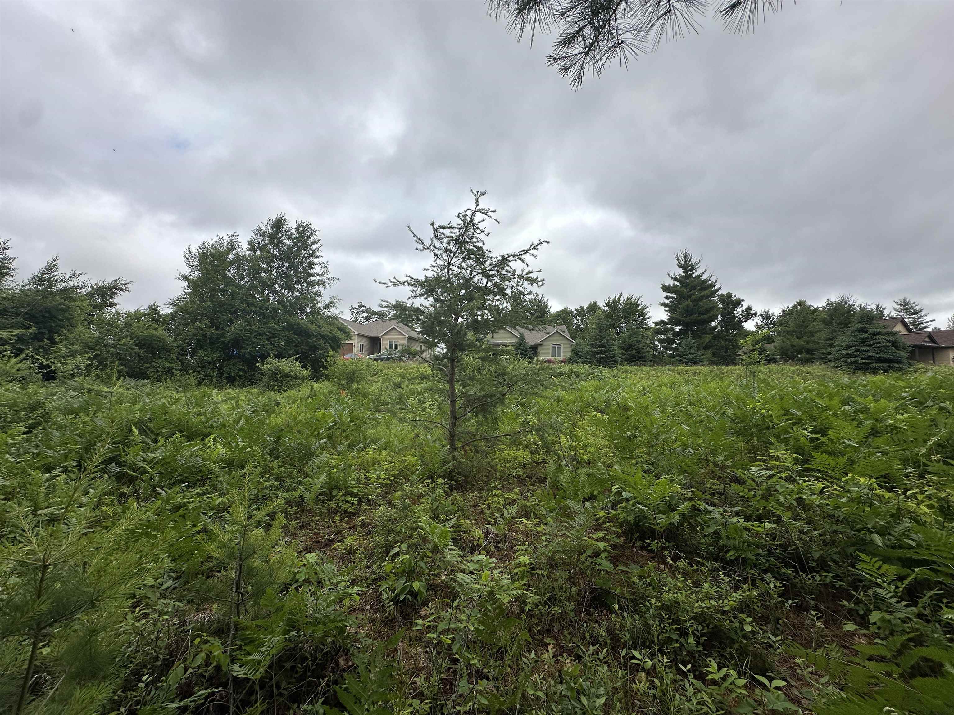 Lot 41 Point Trail Property Photo 4