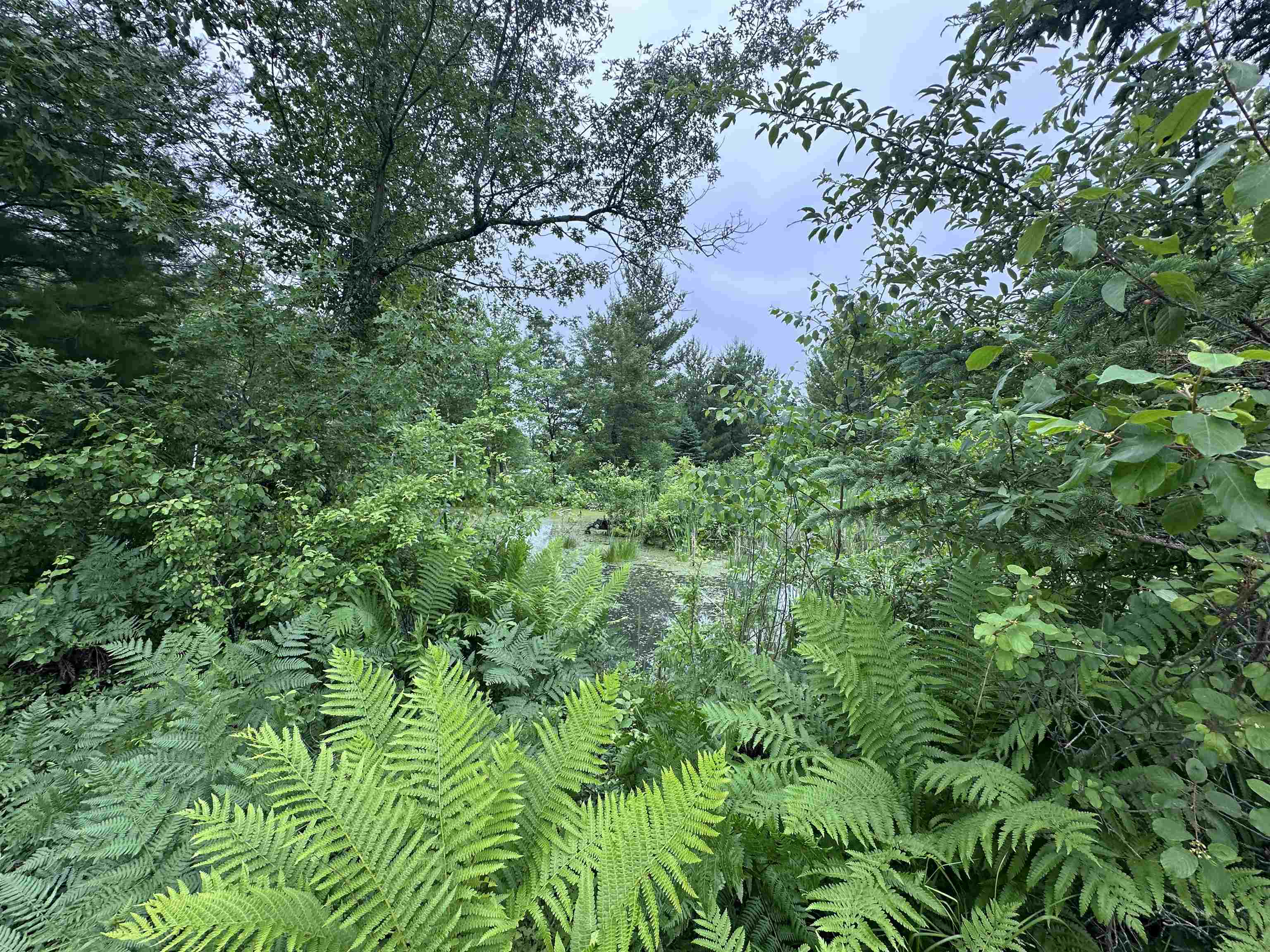 Lot 41 Point Trail Property Photo 5