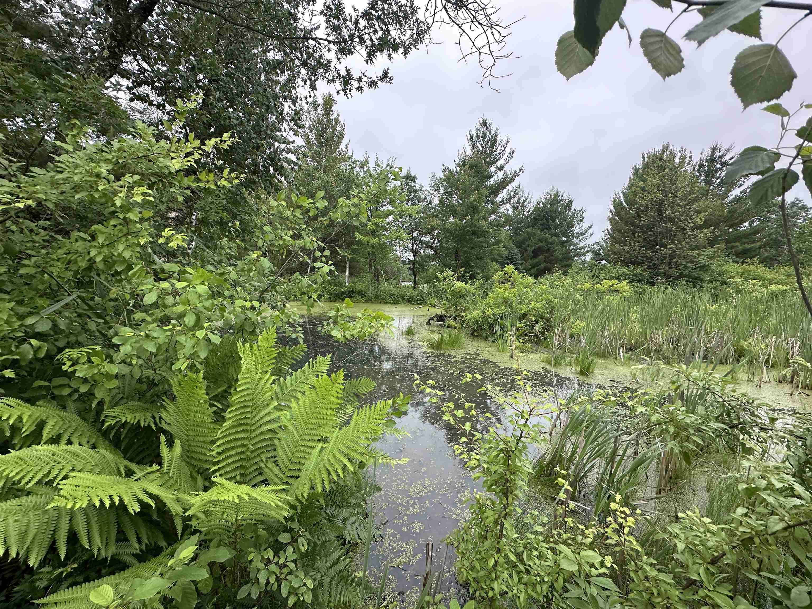 Lot 41 Point Trail Property Photo 6