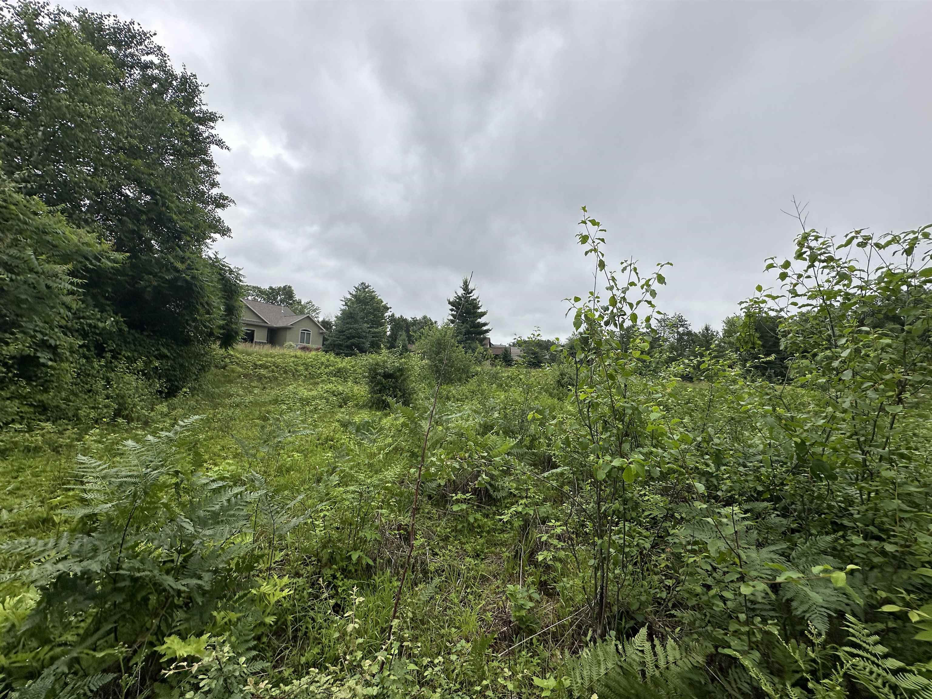 Lot 41 Point Trail Property Photo 7