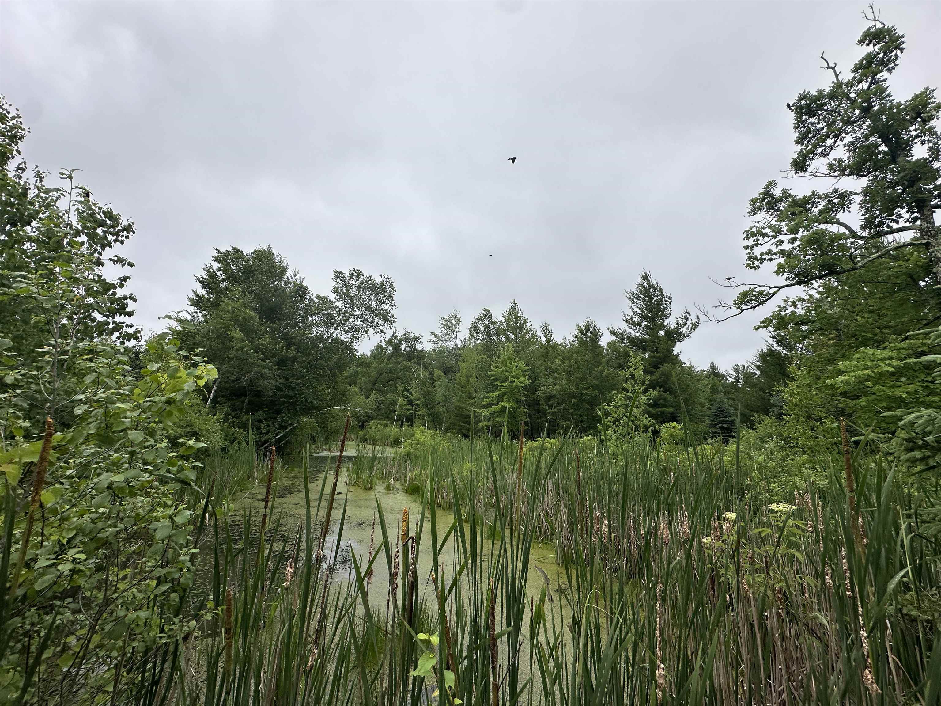 Lot 41 Point Trail Property Photo 8