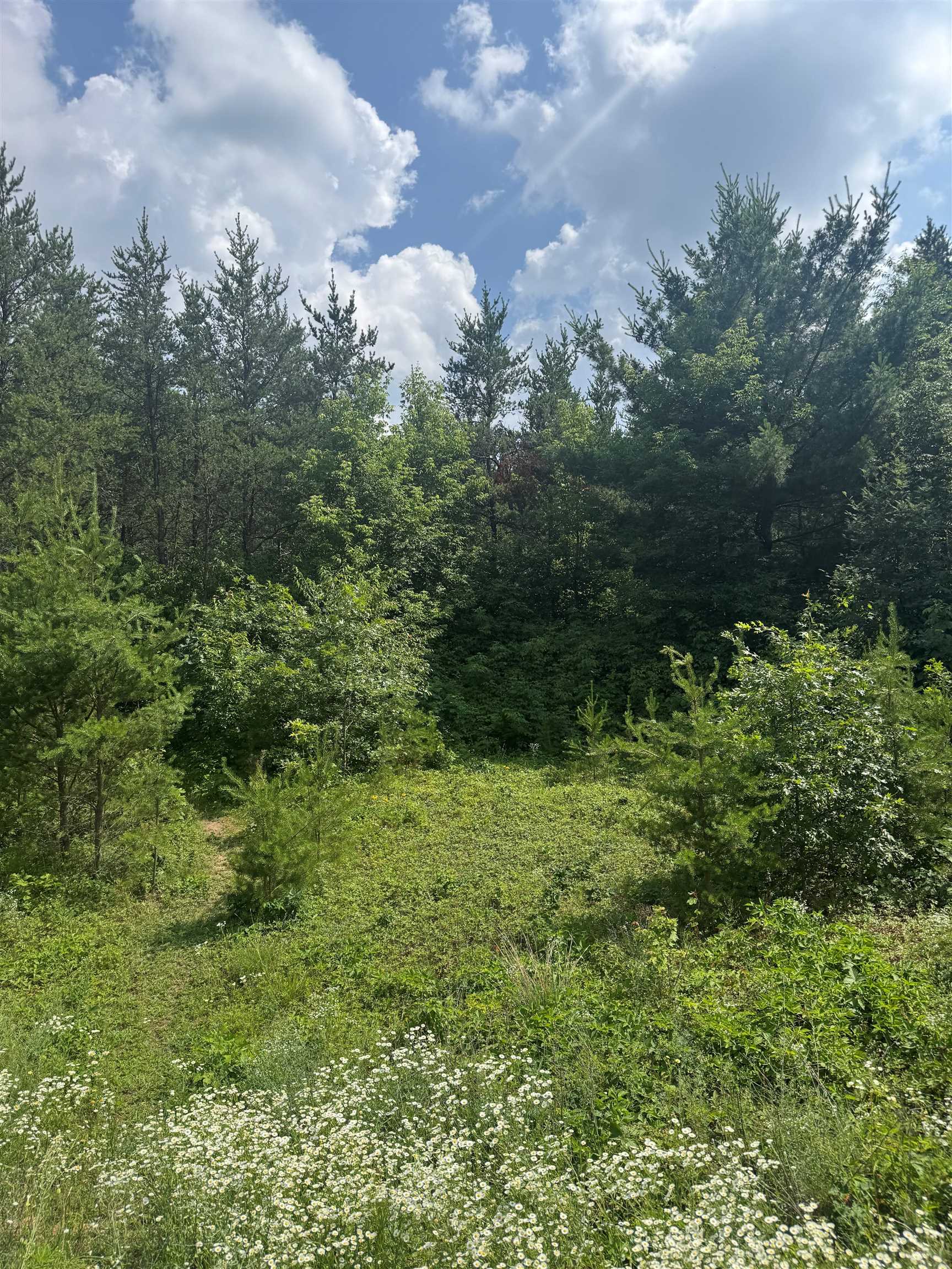 Lot 31 Red Tail Hawk Drive Property Photo 1