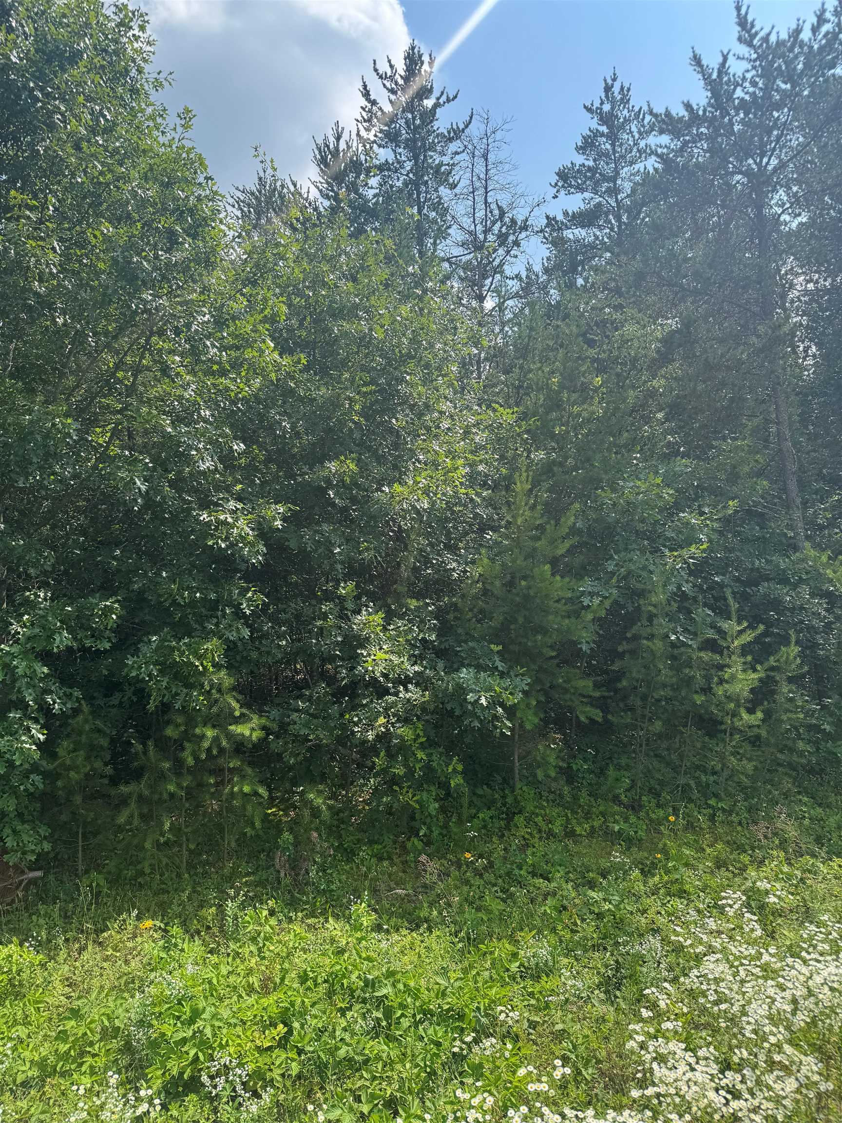Lot 31 Red Tail Hawk Drive Property Photo 2