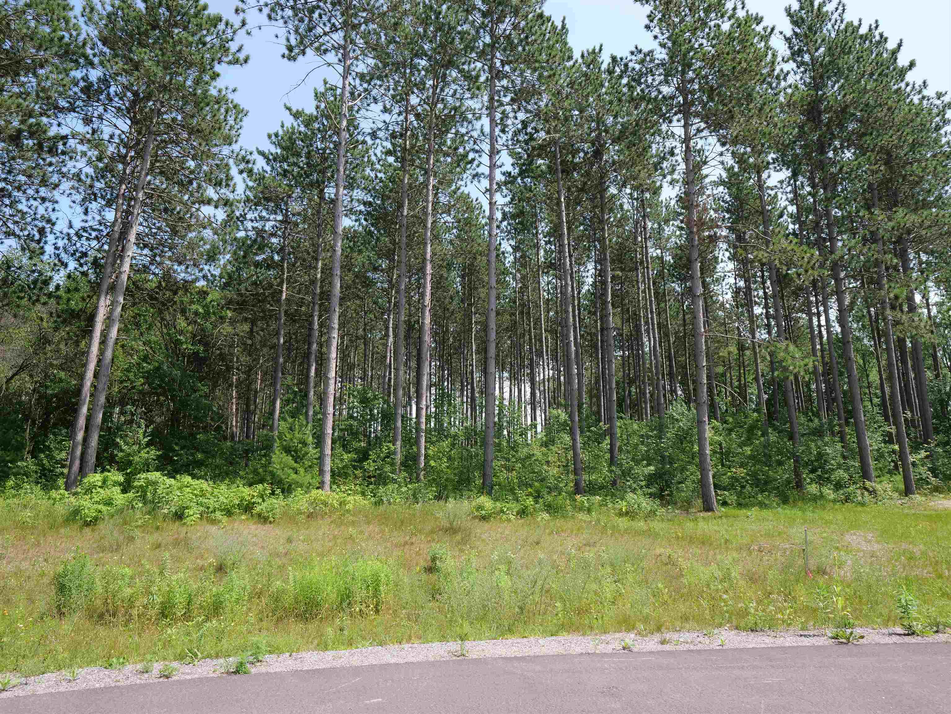 Lot 6 Two Sisters Court Property Photo 1