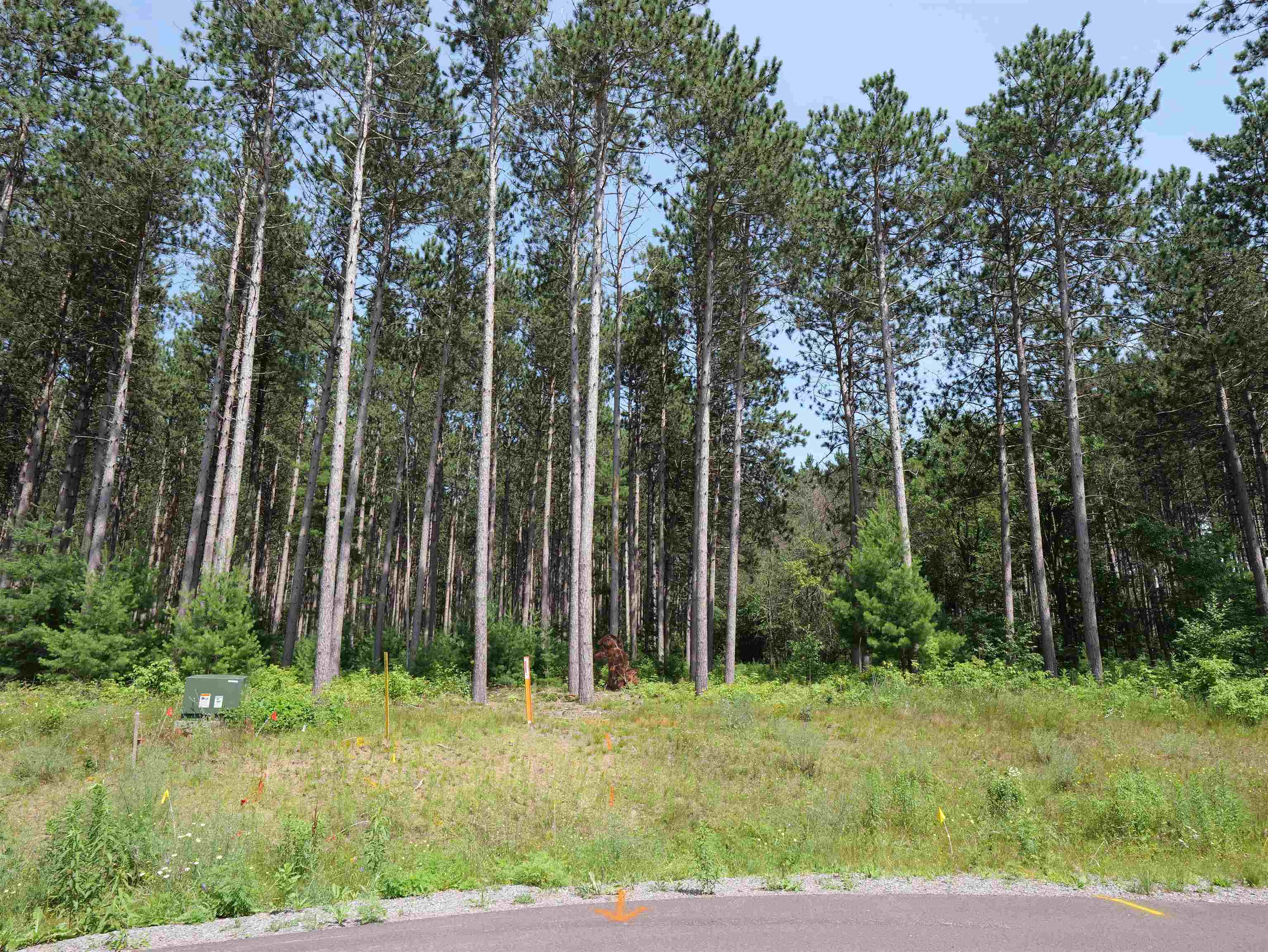Lot 6 Two Sisters Court Property Photo 2