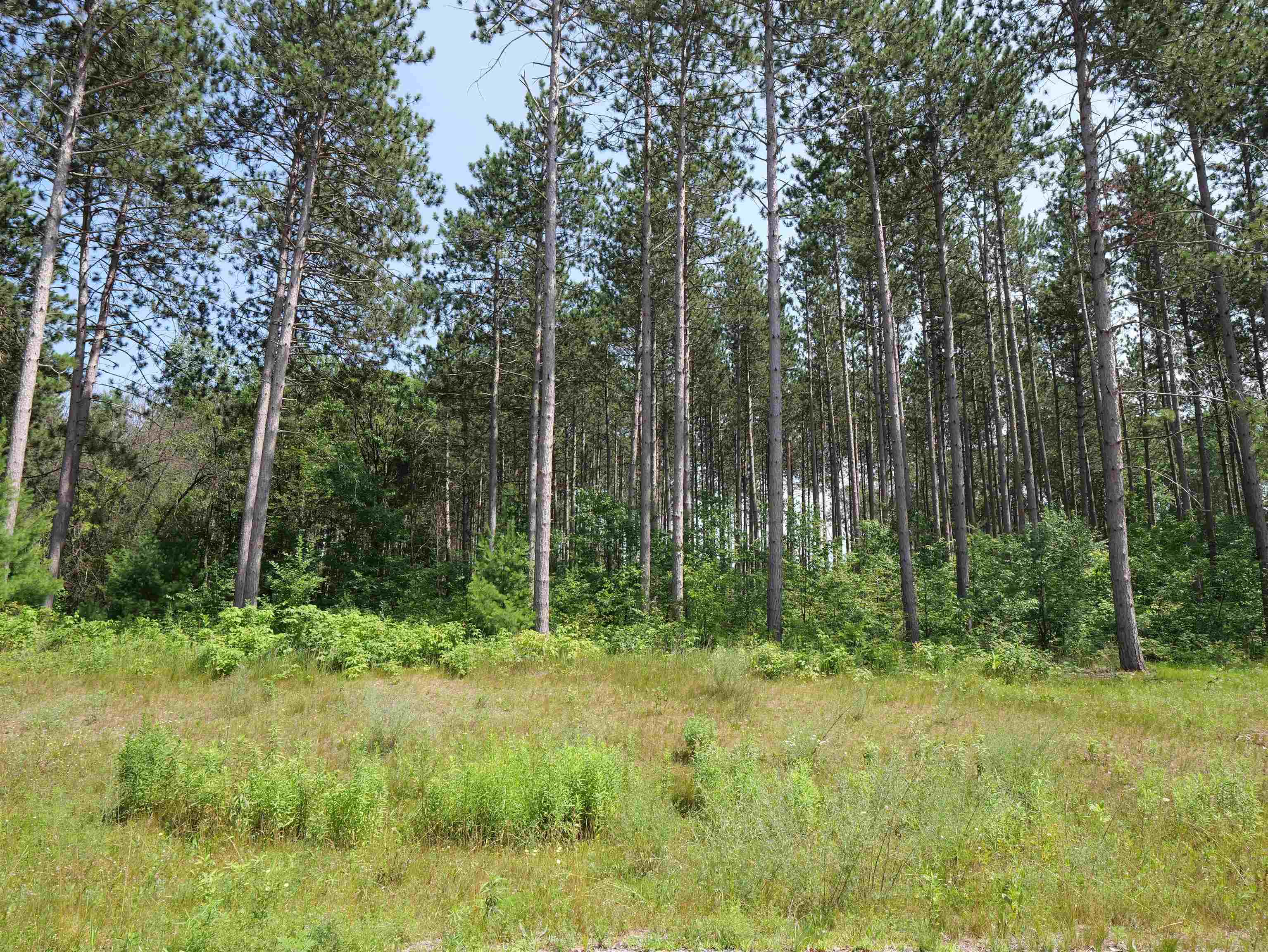 Lot 6 Two Sisters Court Property Photo 3