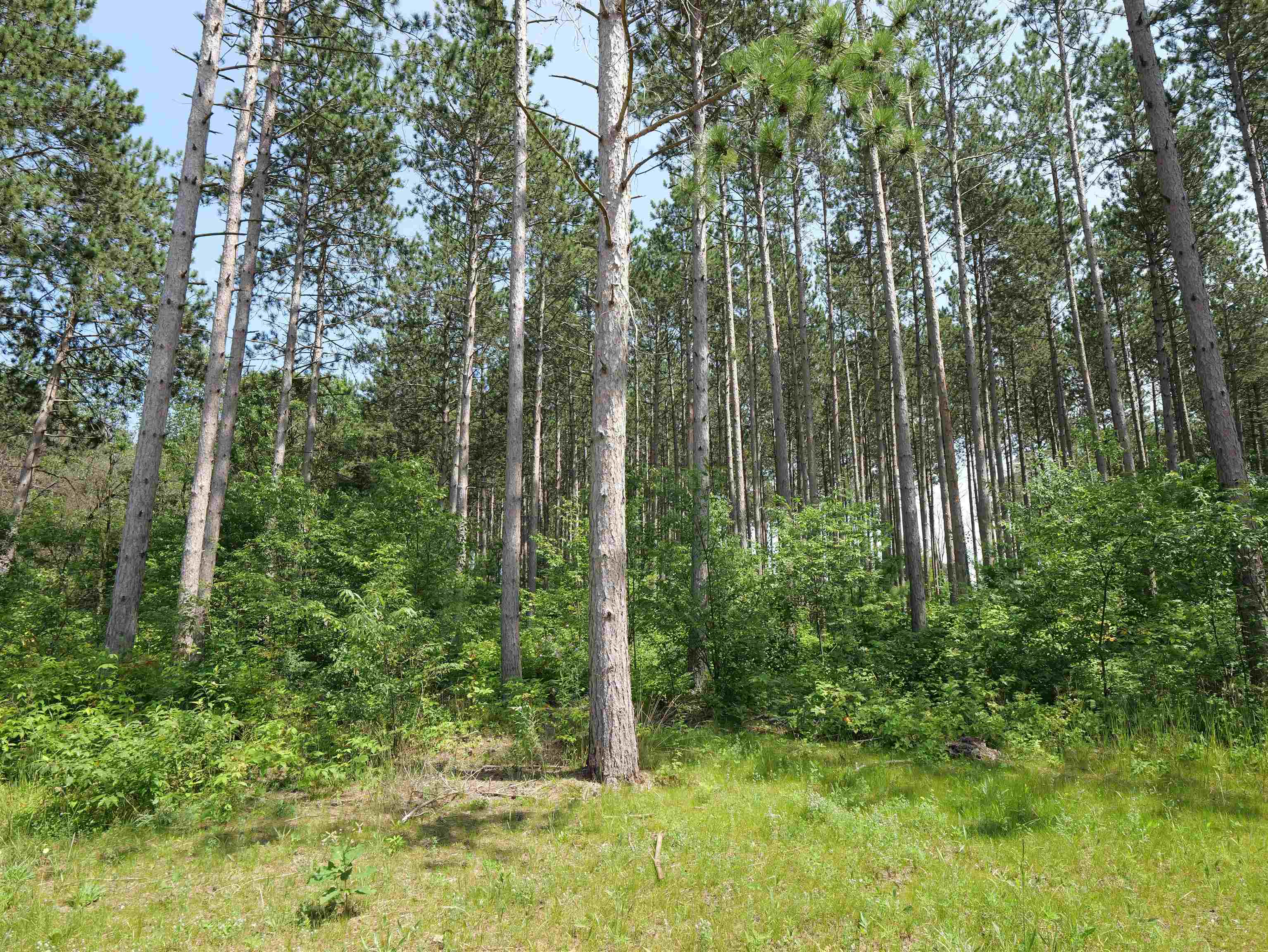 Lot 6 Two Sisters Court Property Photo 4