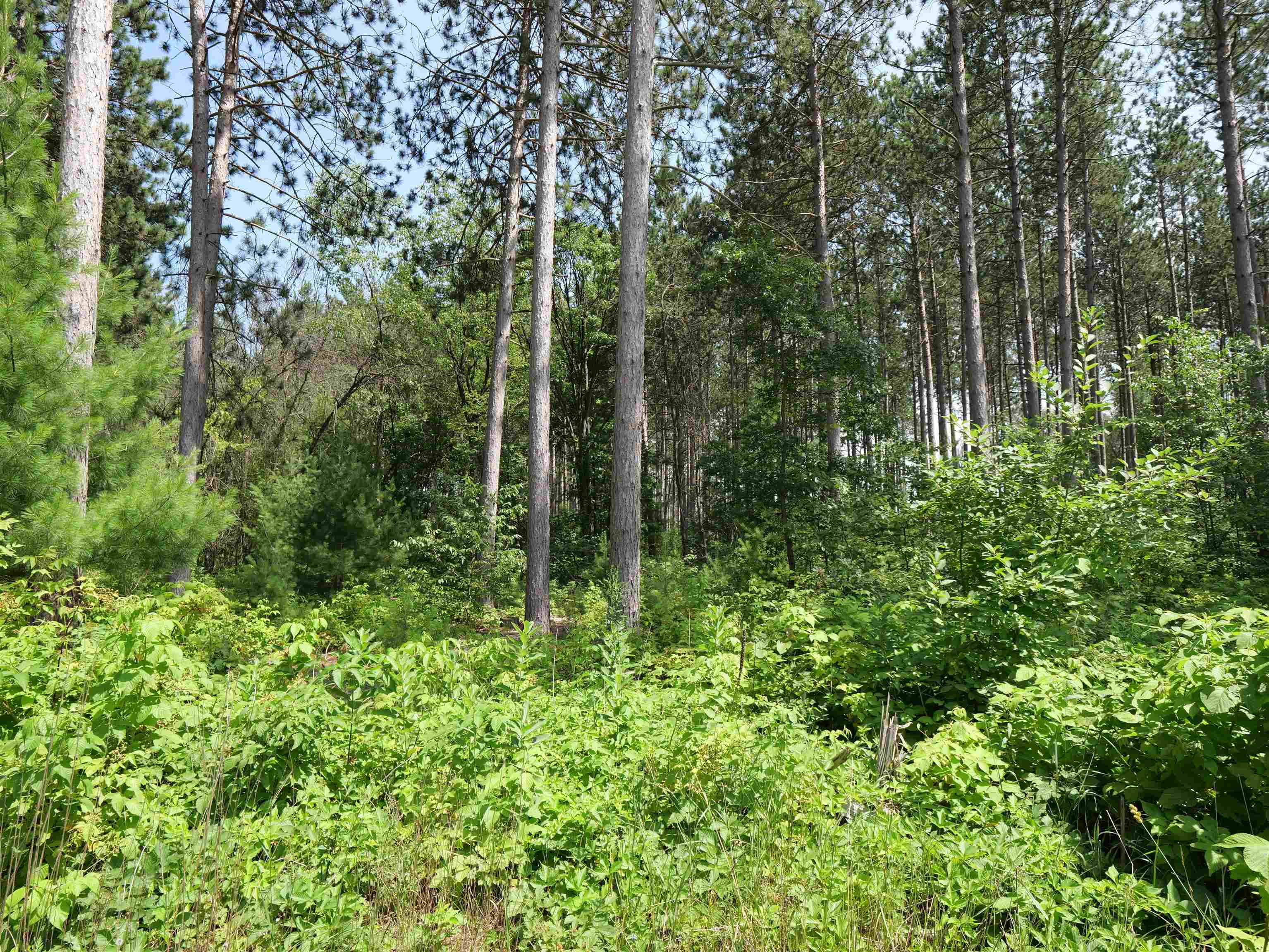 Lot 6 Two Sisters Court Property Photo 5