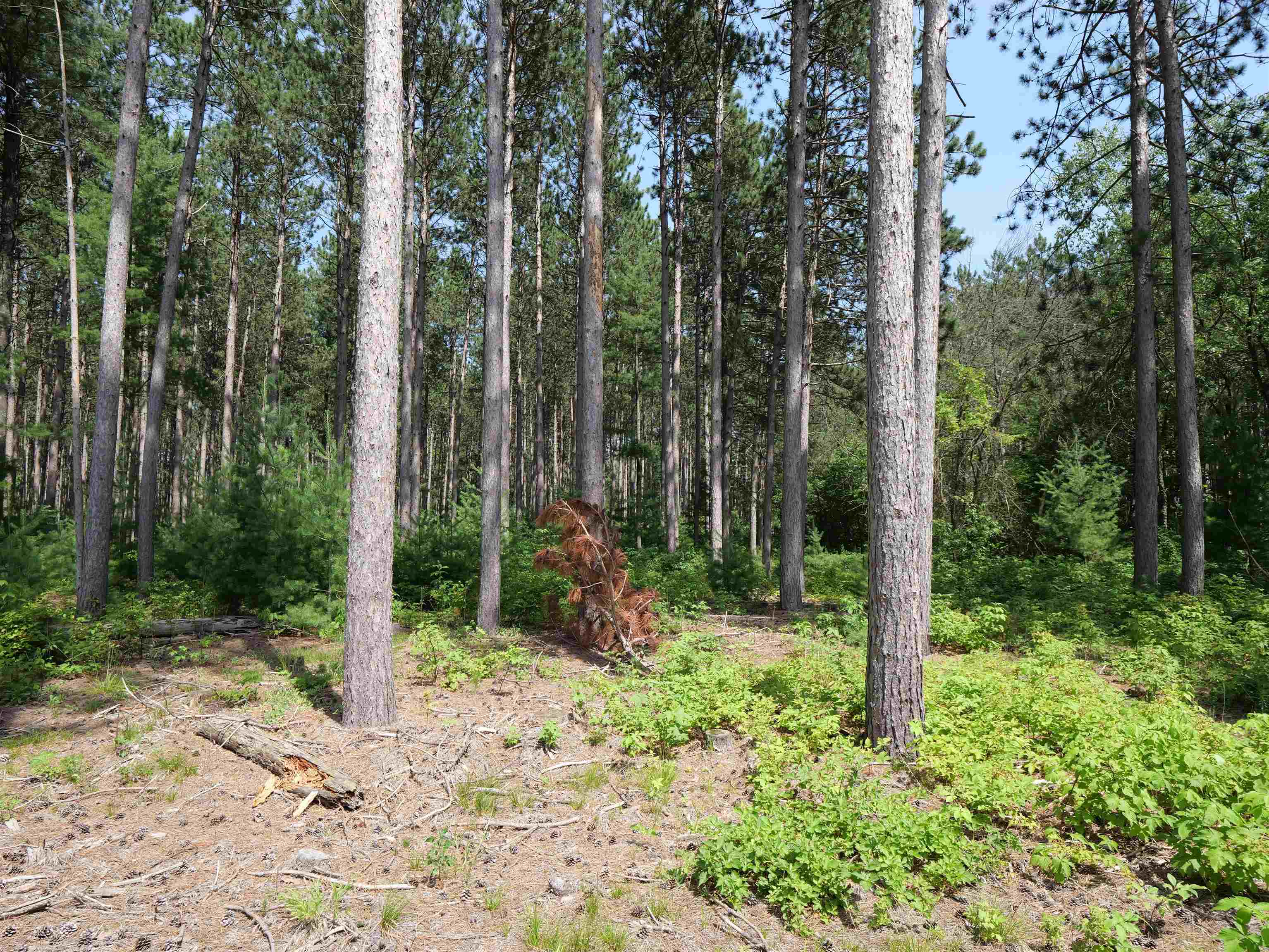 Lot 6 Two Sisters Court Property Photo 6