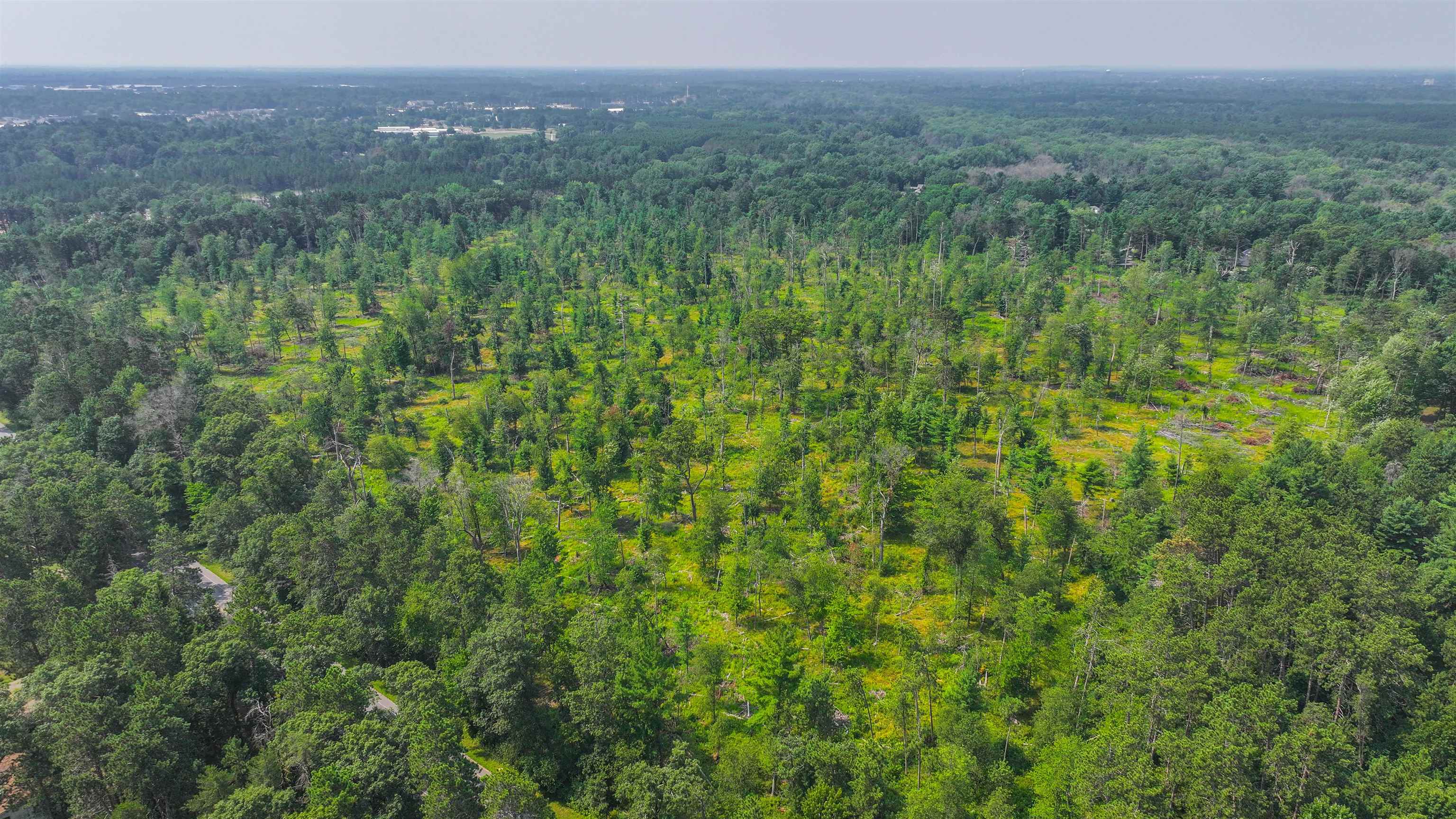 44.59 Acres Brilowski Road North Property Photo 3