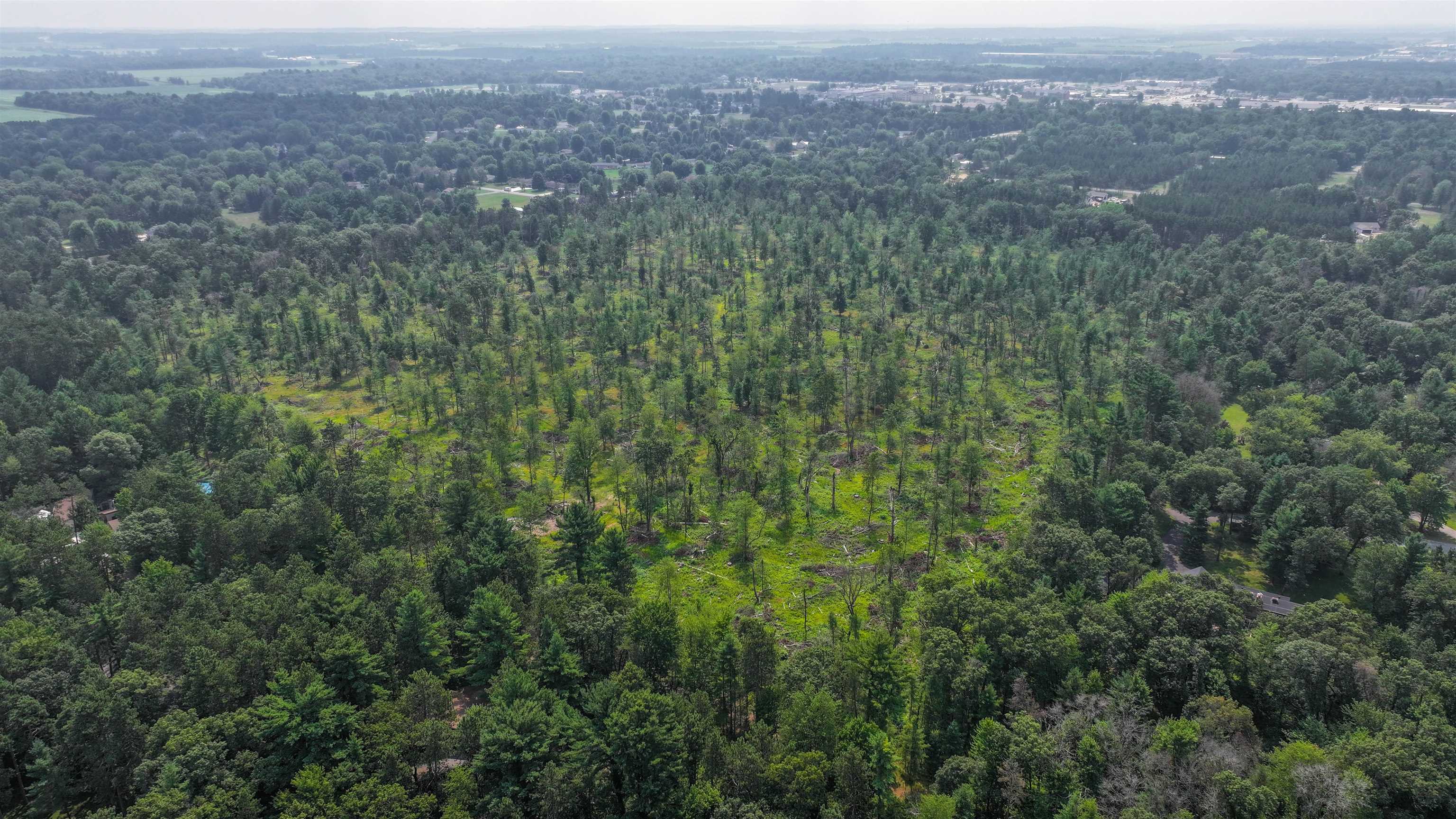 44.59 Acres Brilowski Road North Property Photo 6