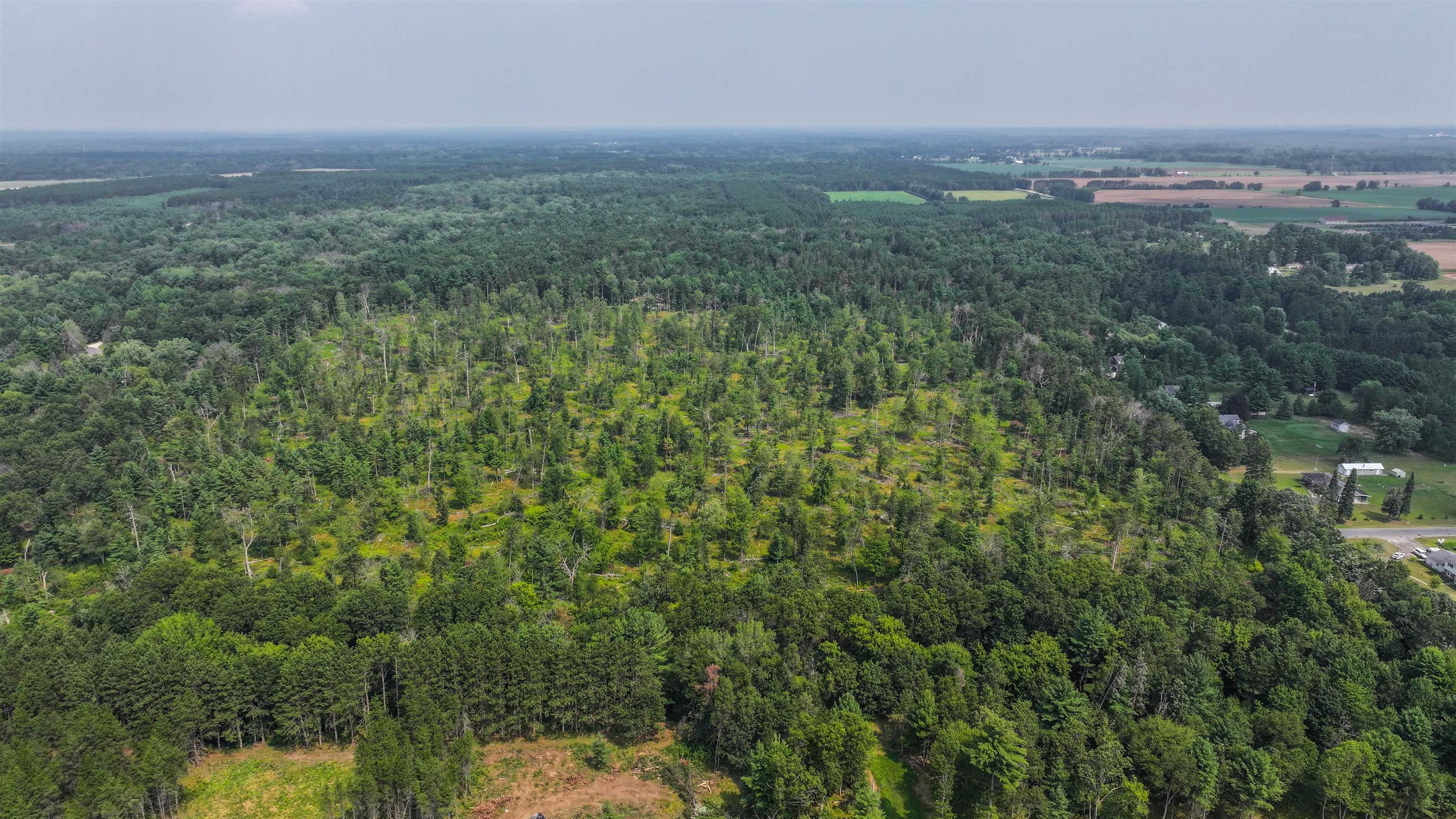 44.59 Acres Brilowski Road North Property Photo 7