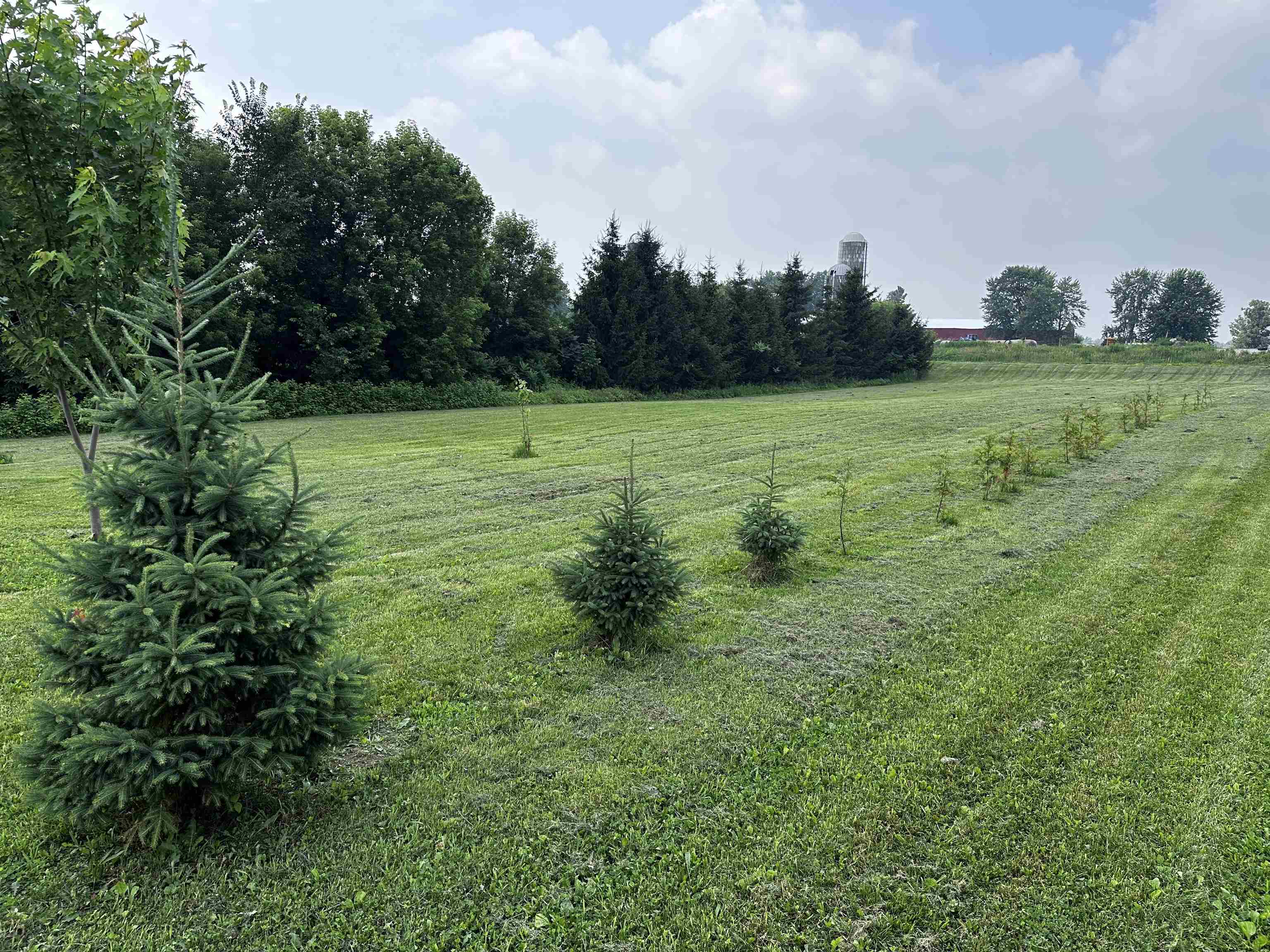 2315 Boot Lane Property Photo 11
