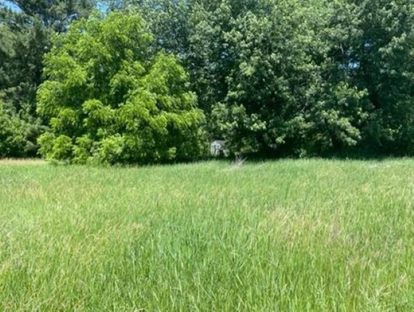 1220 Snyder Street Property Photo 2