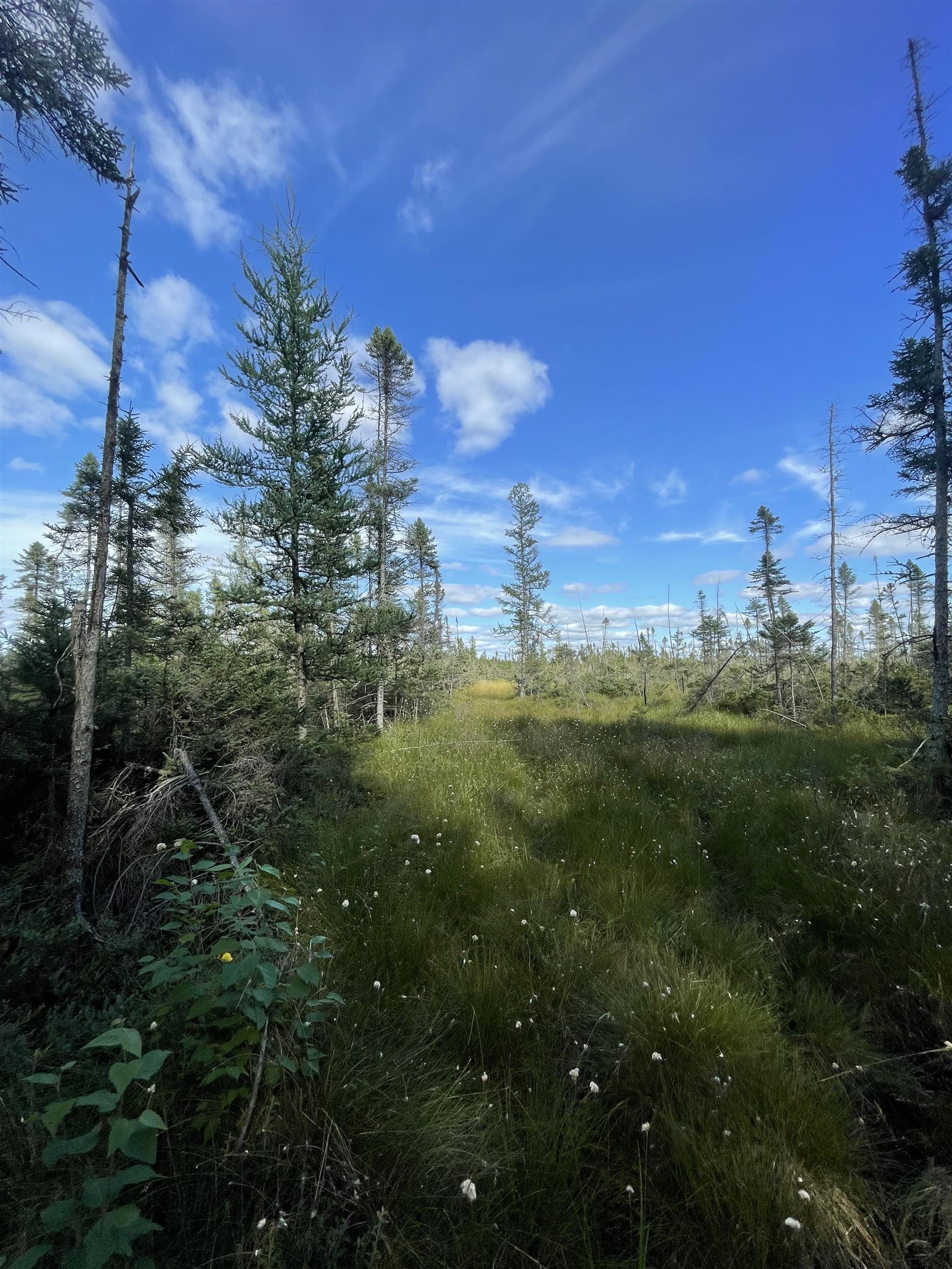 Swamp Road Property Photo 1
