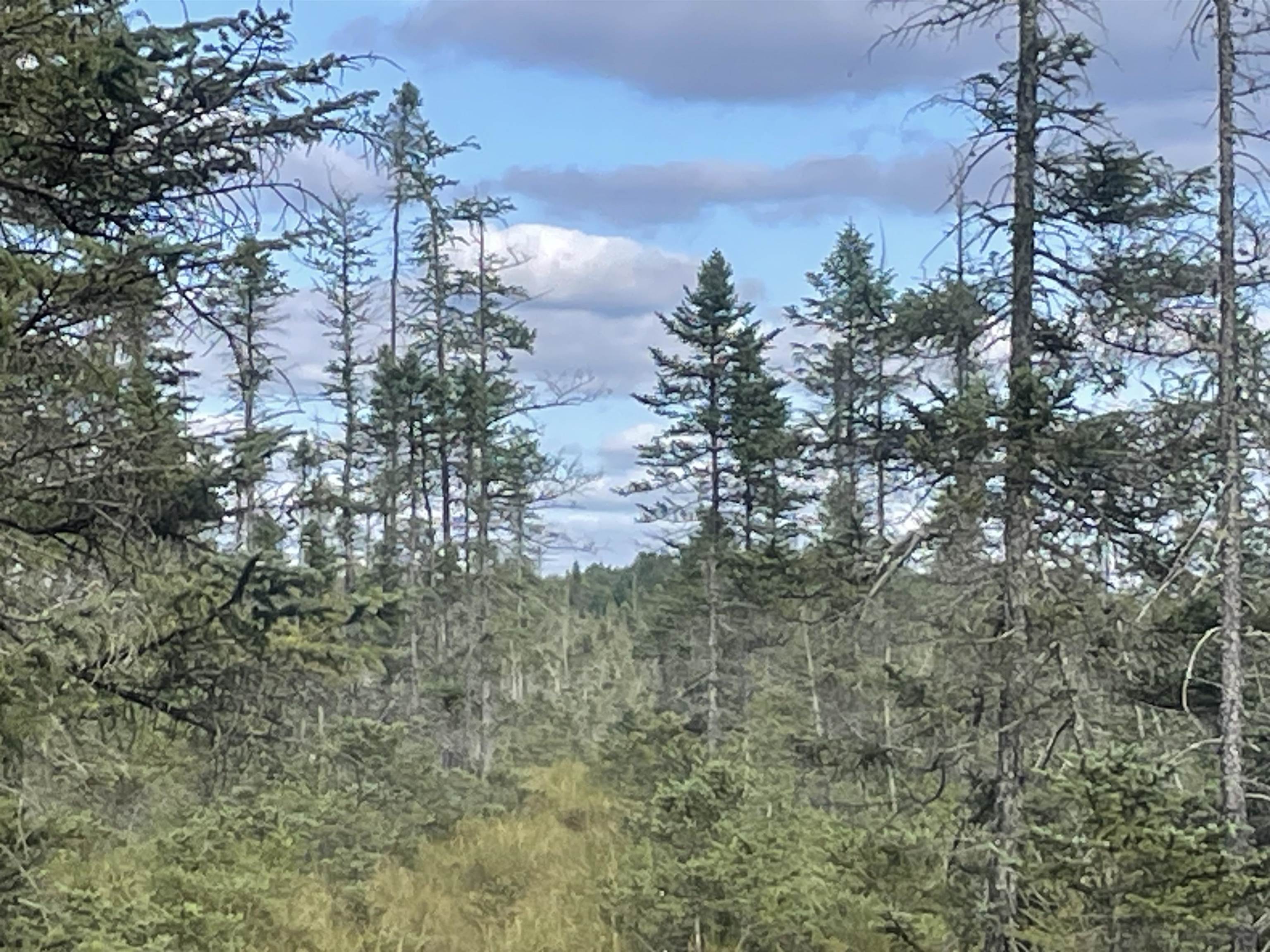 Swamp Road Property Photo 3