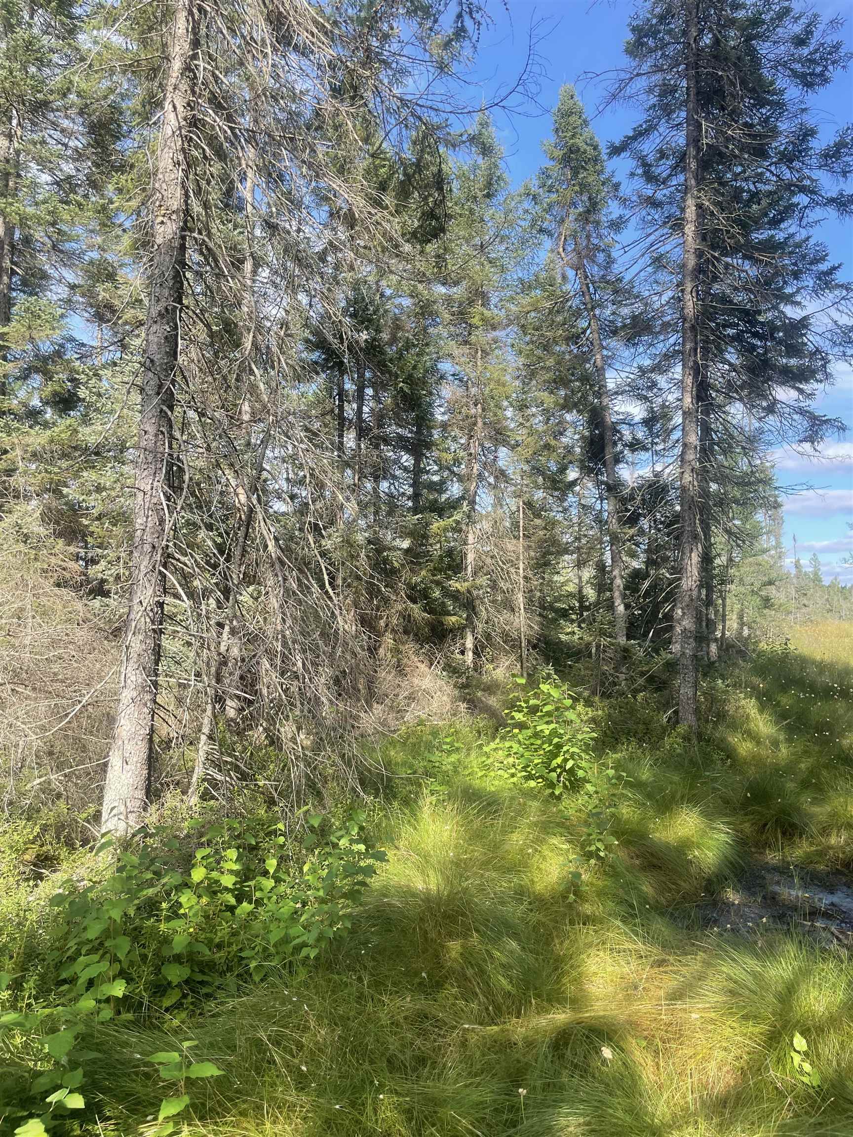 Swamp Road Property Photo 4