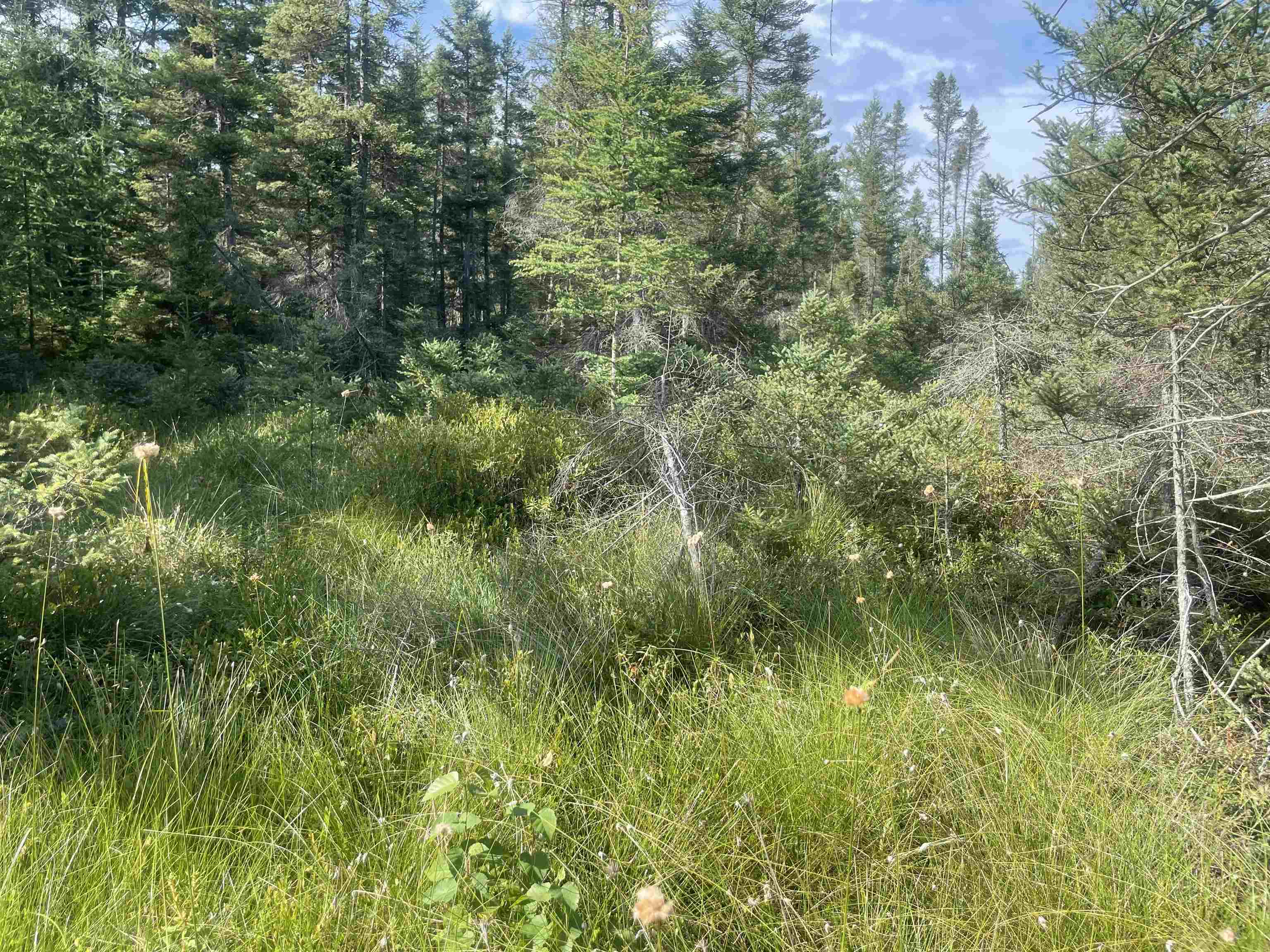 Swamp Road Property Photo 7