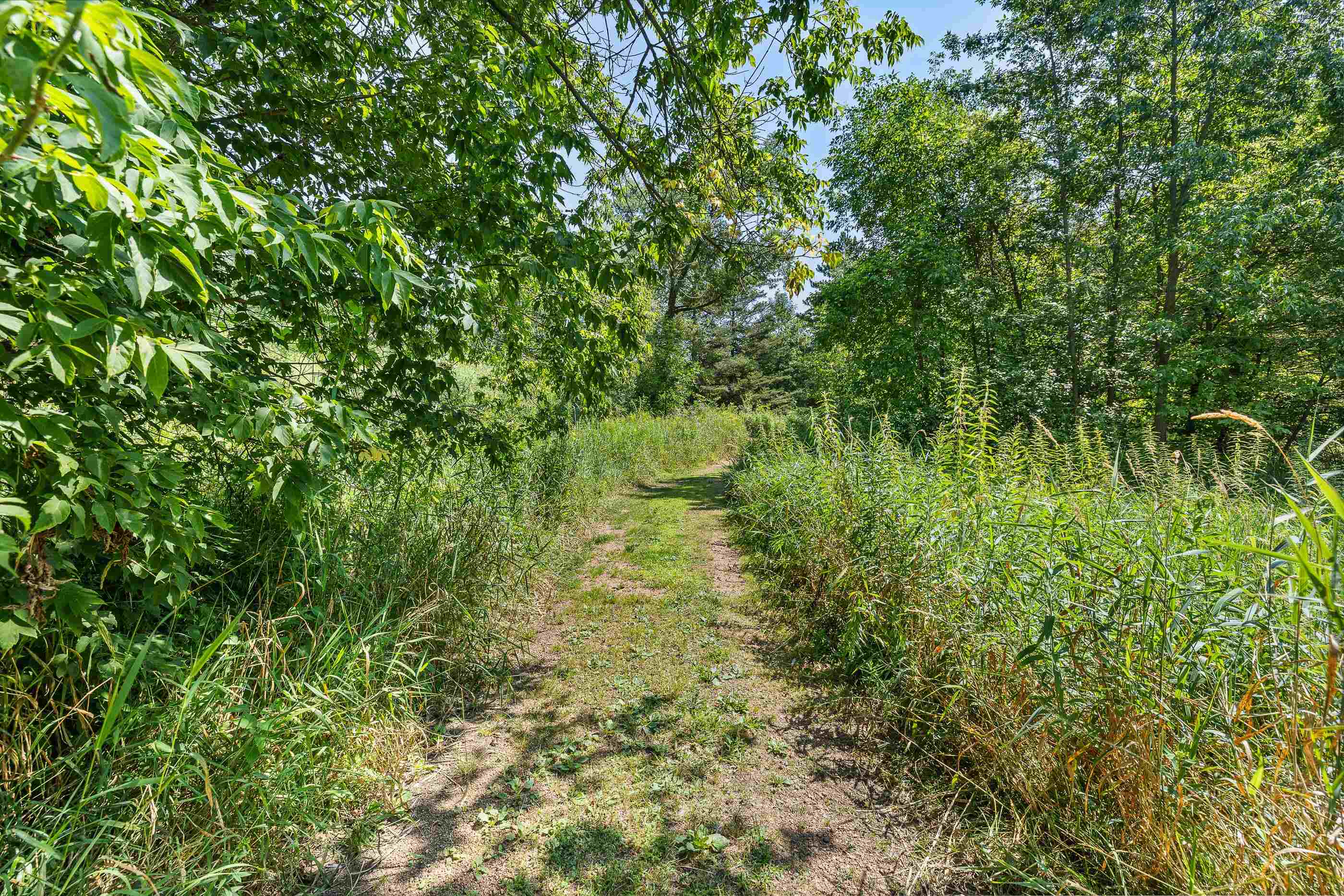 4340 Pine Road Property Photo 55
