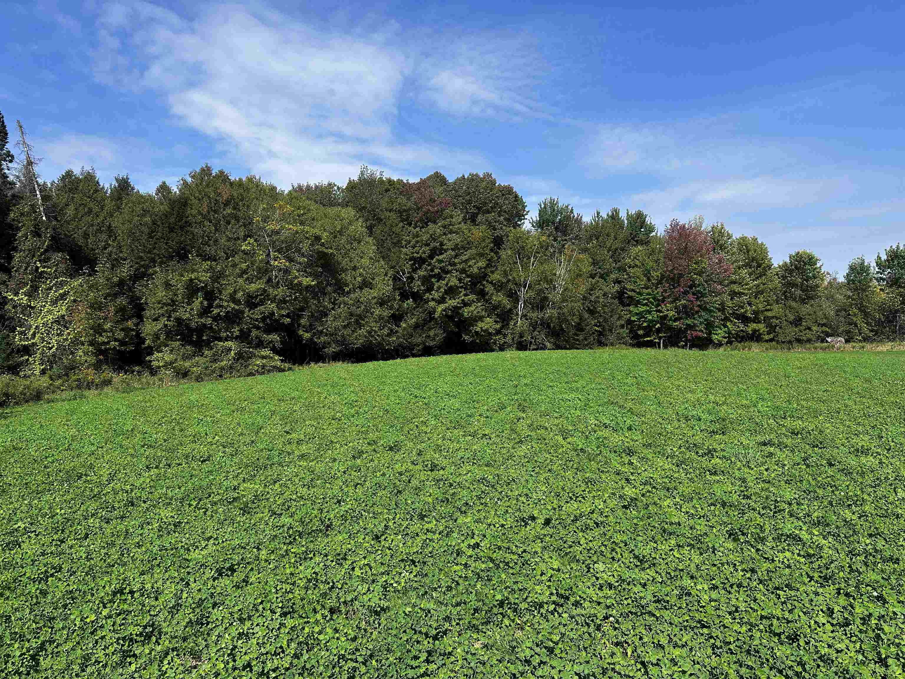 02 State Highway 45 Property Photo 3