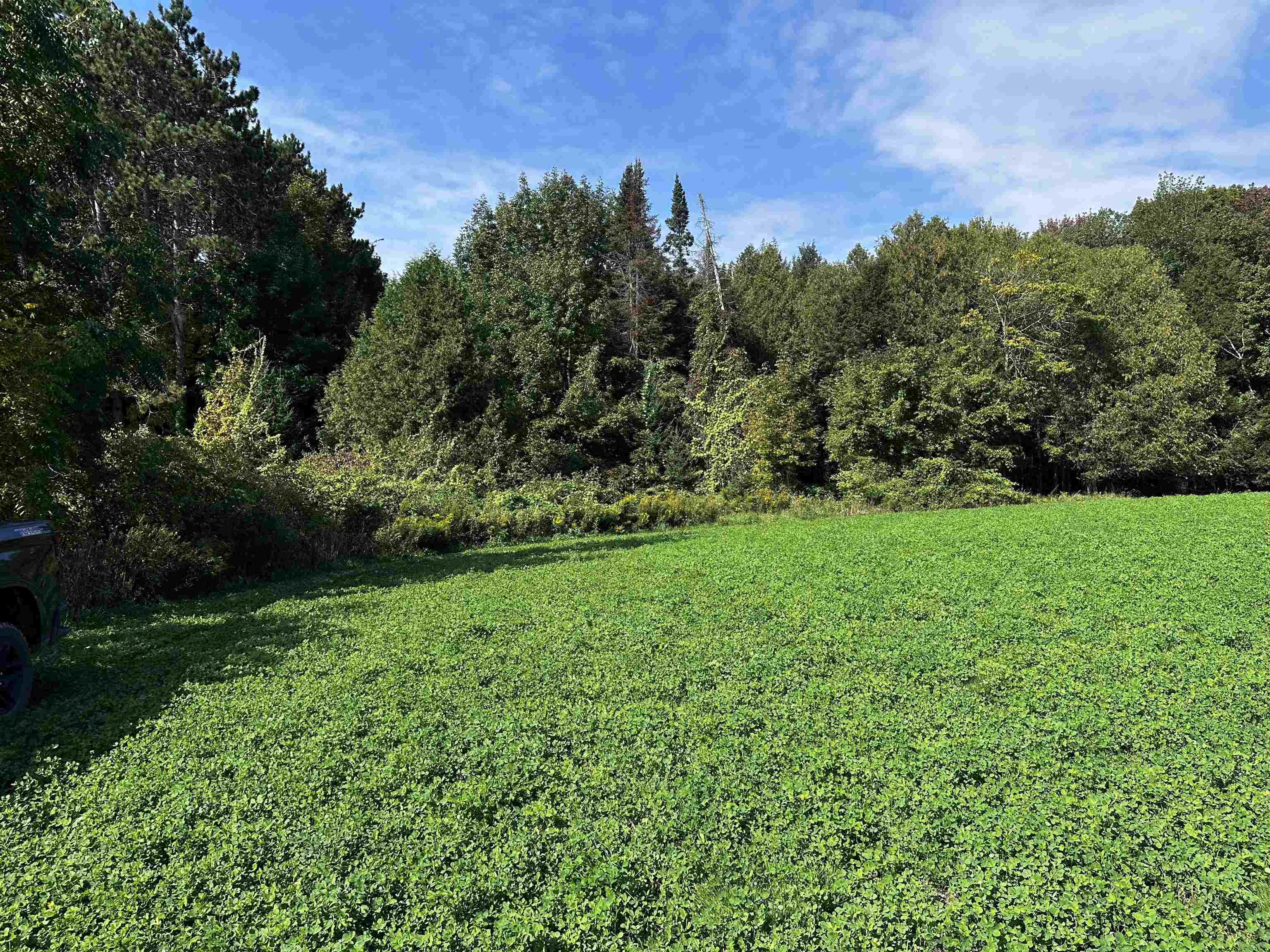 02 State Highway 45 Property Photo 4