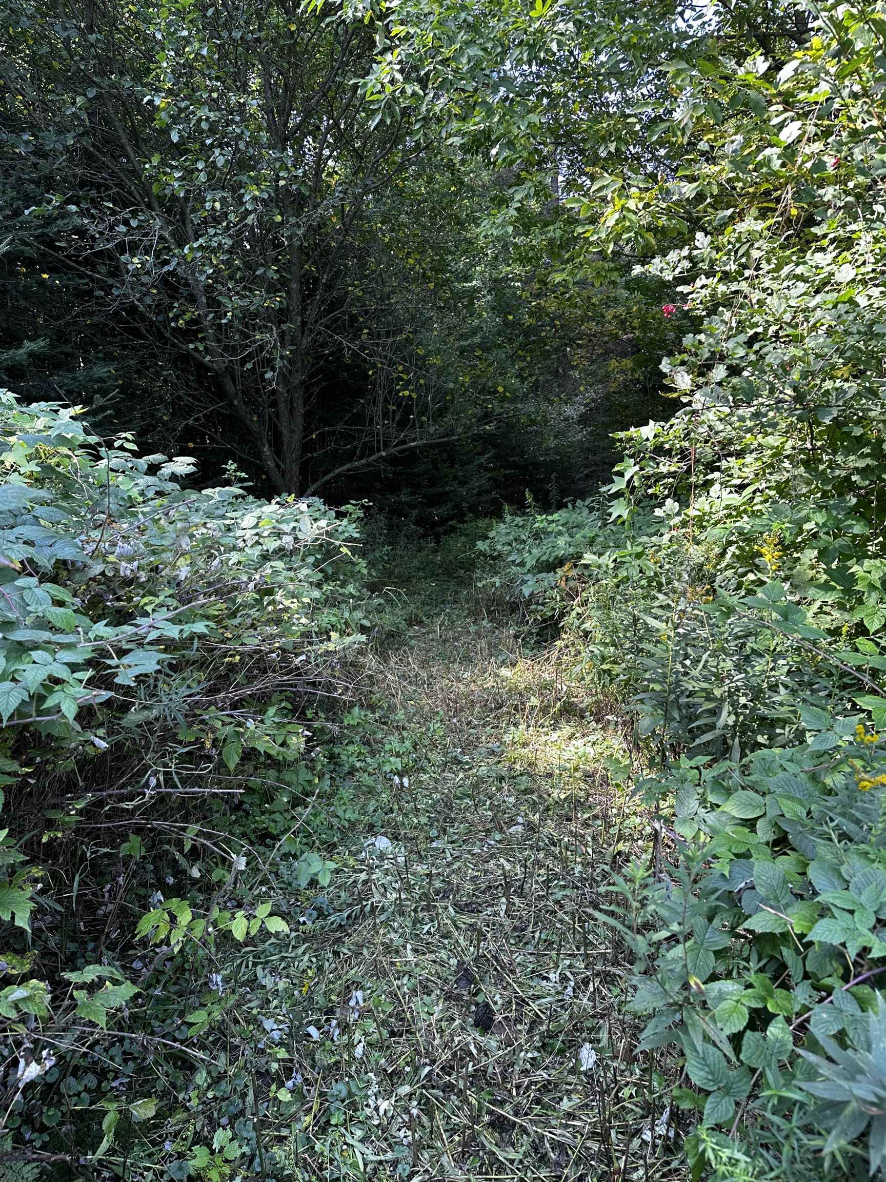 02 State Highway 45 Property Photo 11