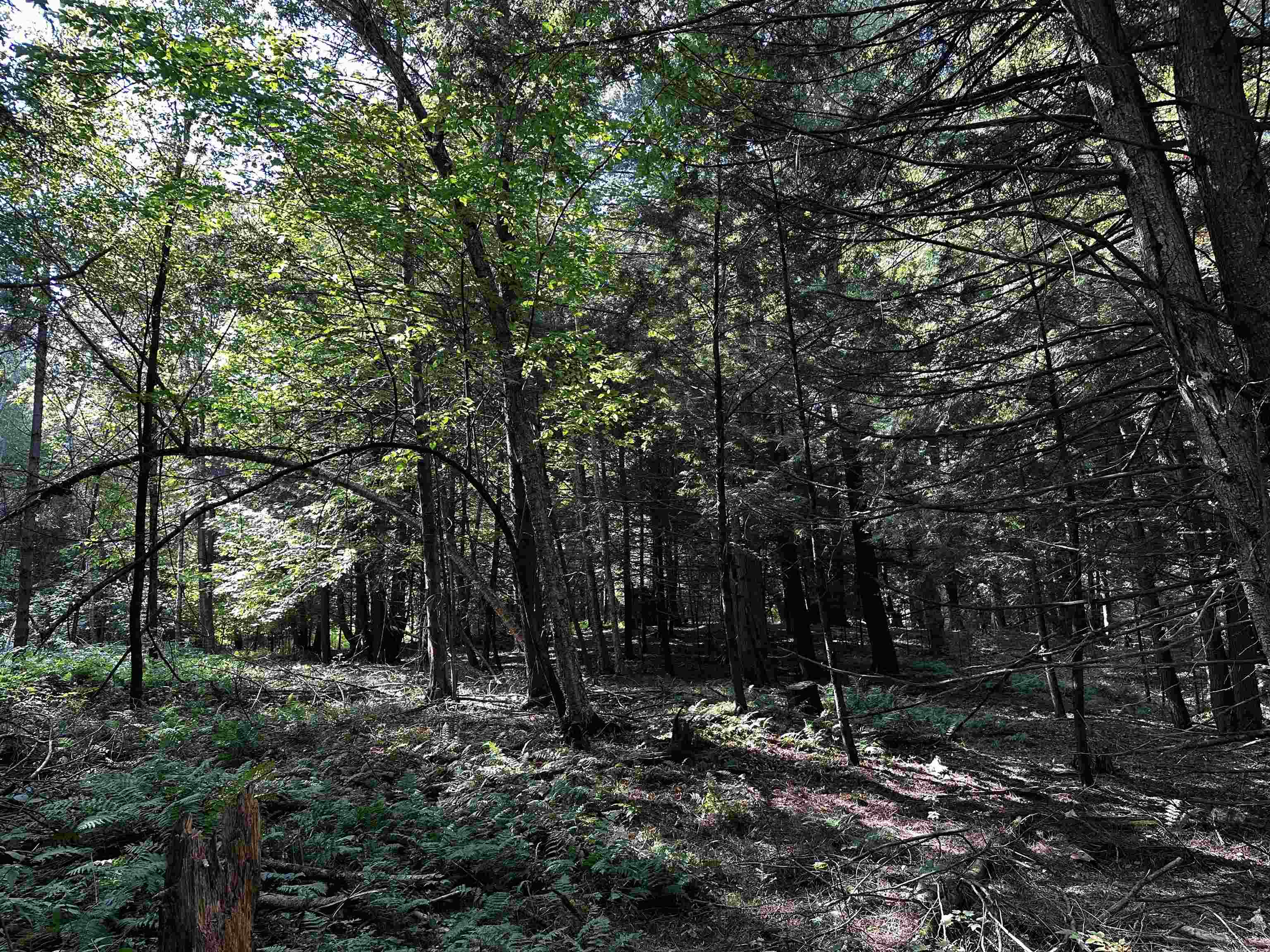 02 State Highway 45 Property Photo 13