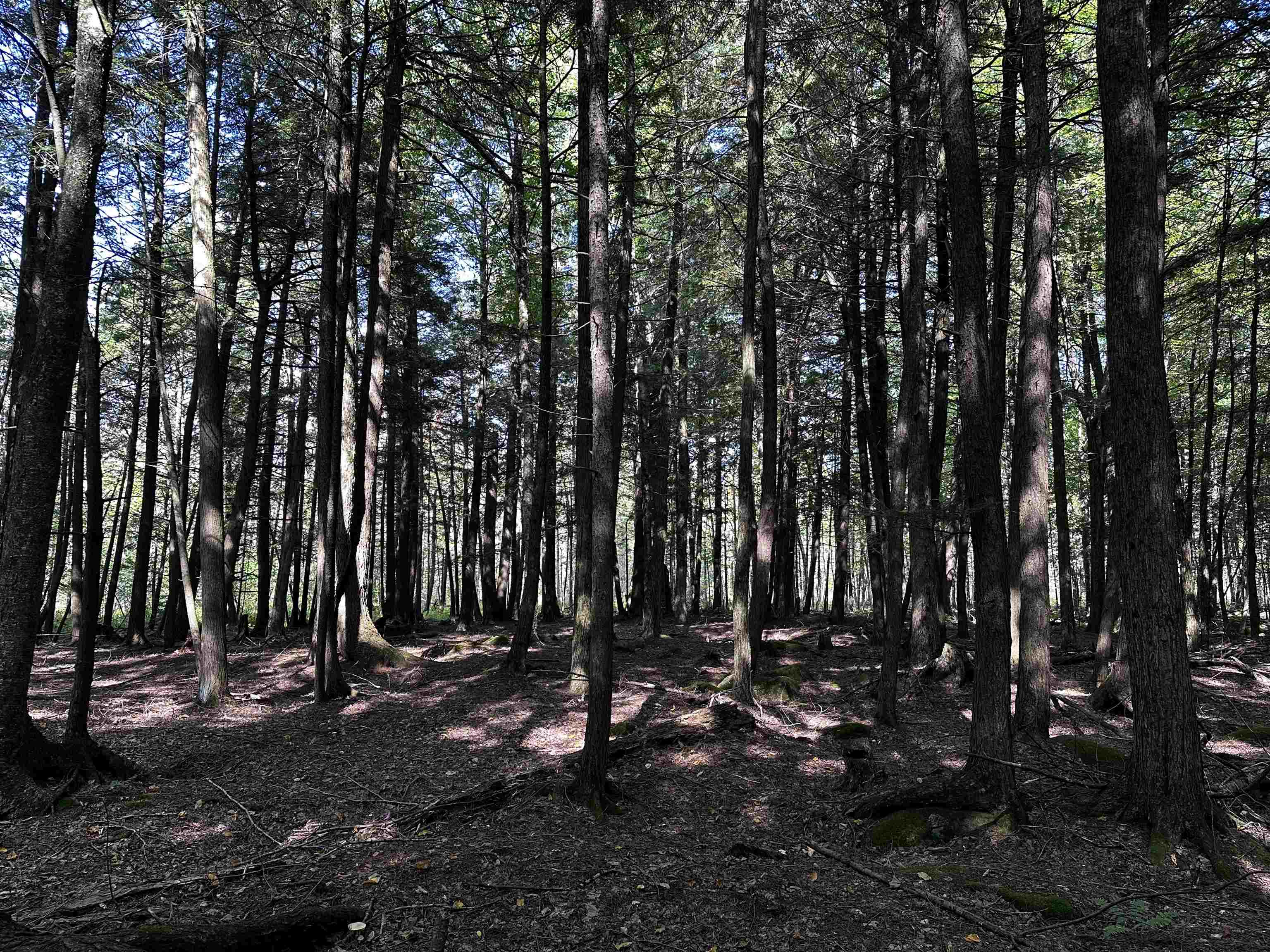 02 State Highway 45 Property Photo 14