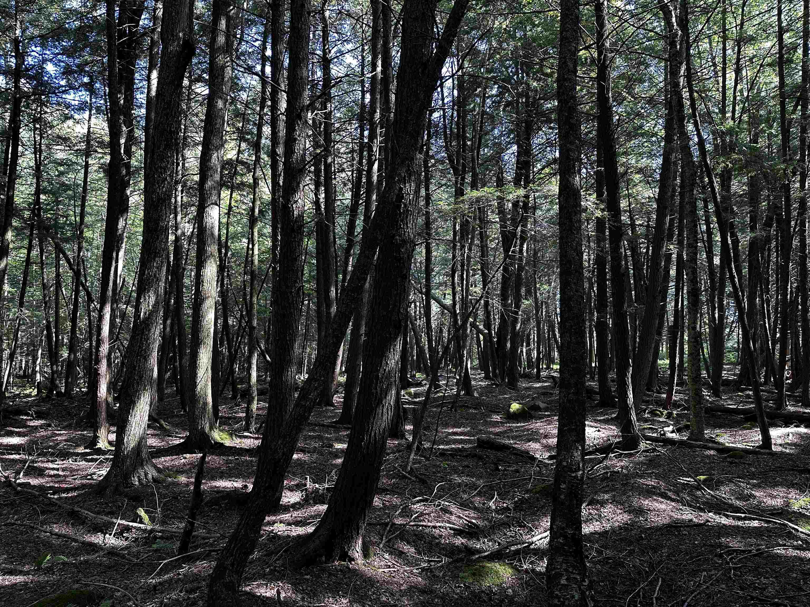 02 State Highway 45 Property Photo 15