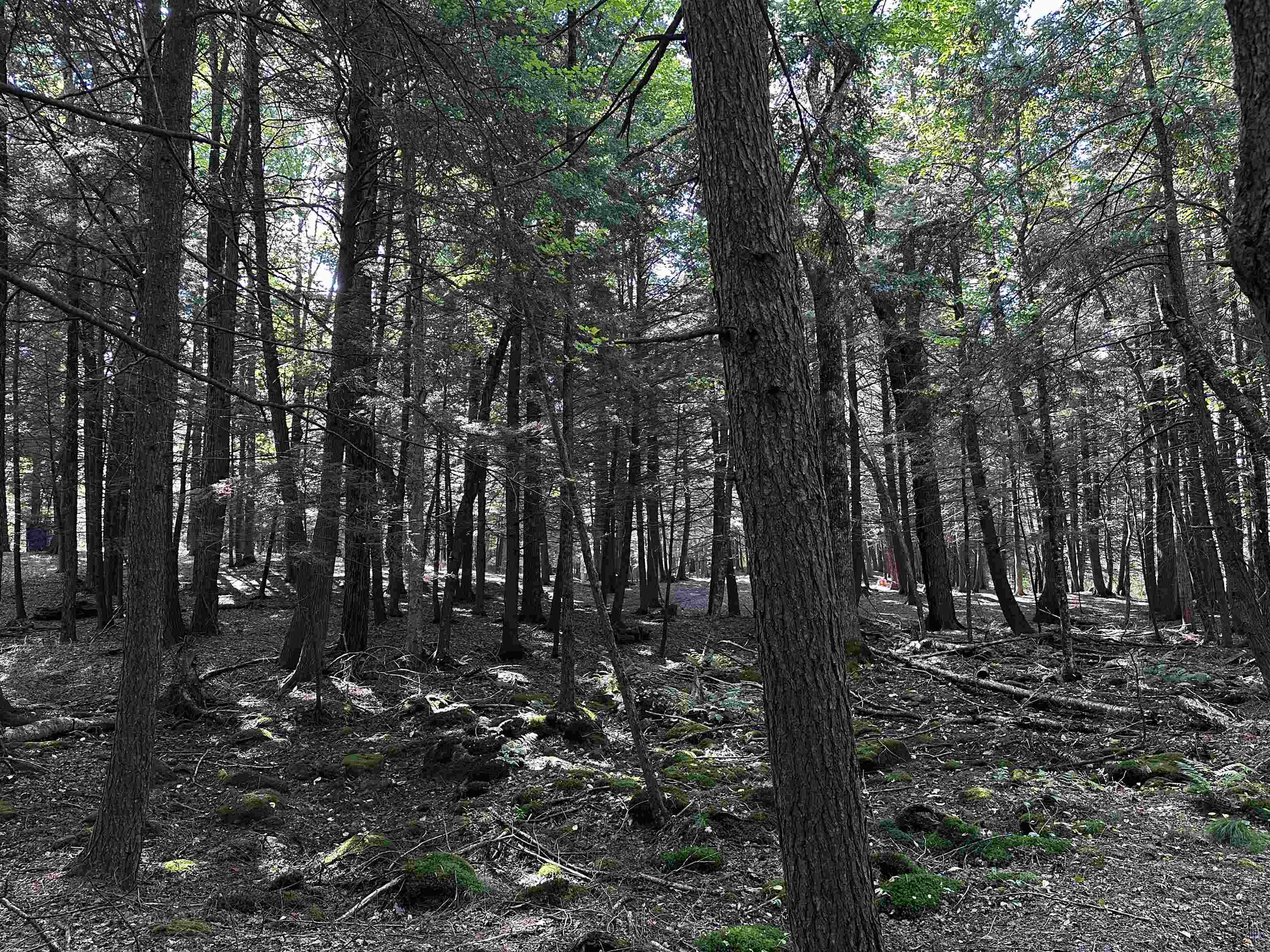 02 State Highway 45 Property Photo 16