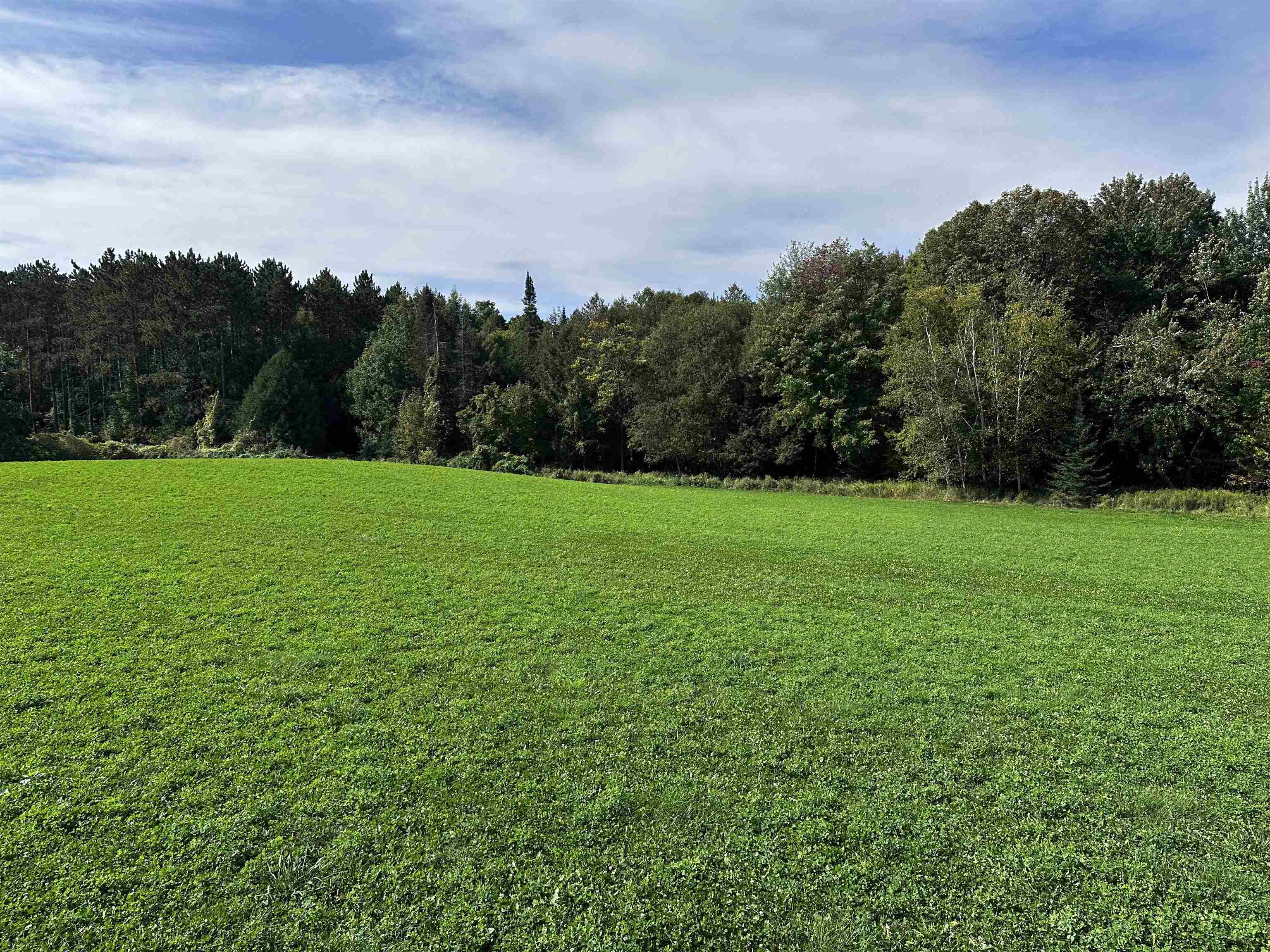 02 State Highway 45 Property Photo 18
