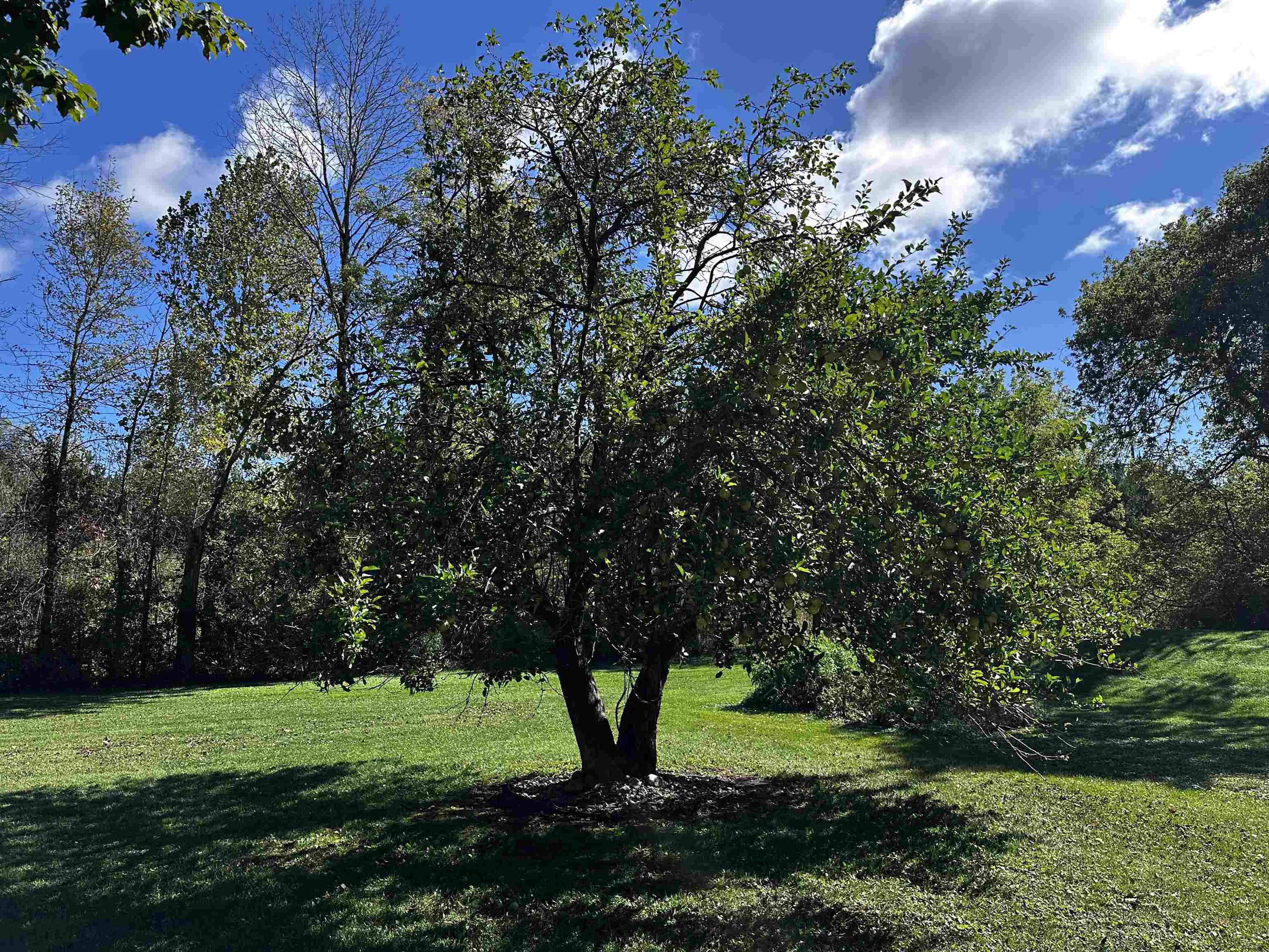 9873 E Anton Road Property Photo 45