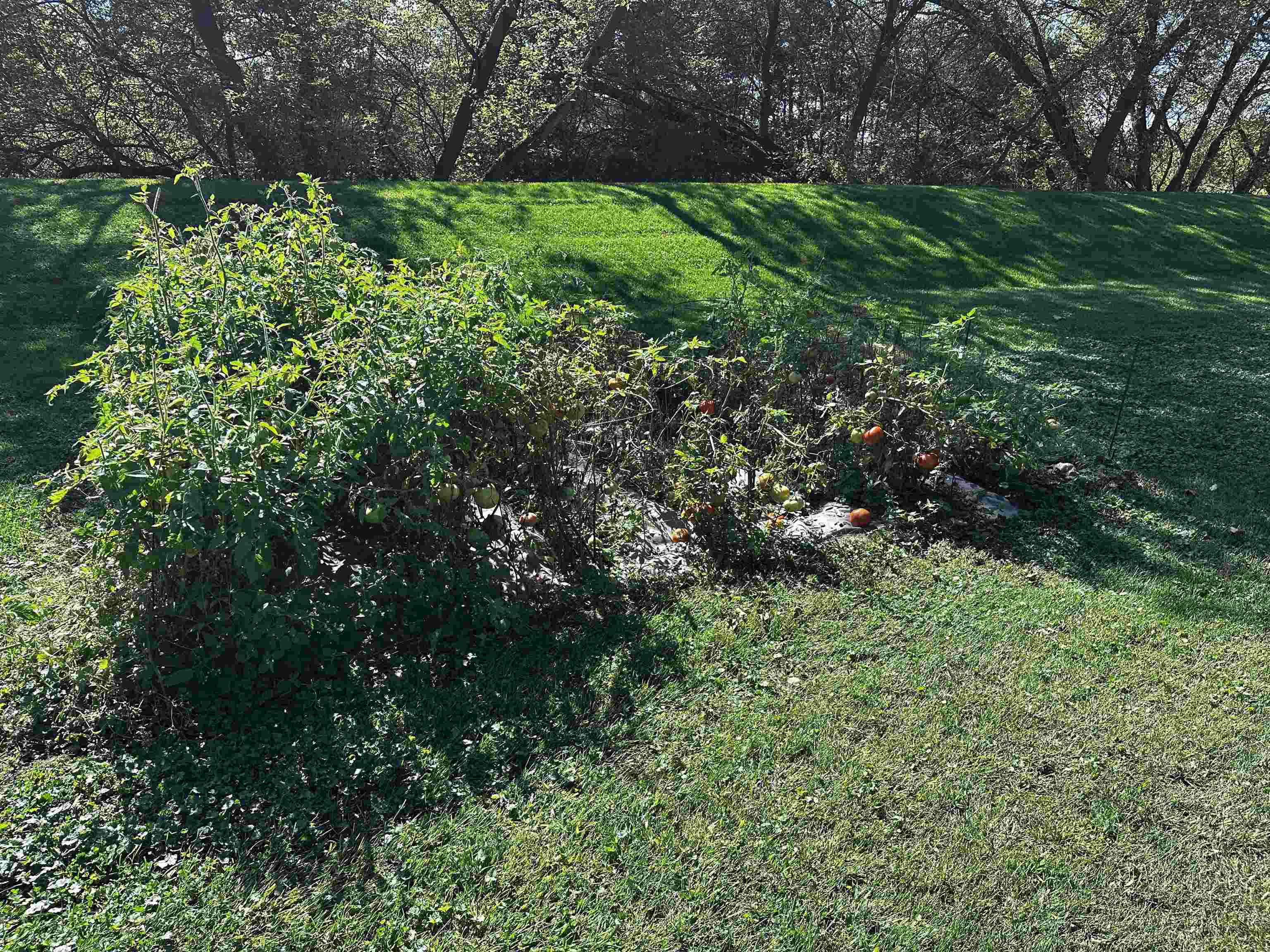 9873 E Anton Road Property Photo 48