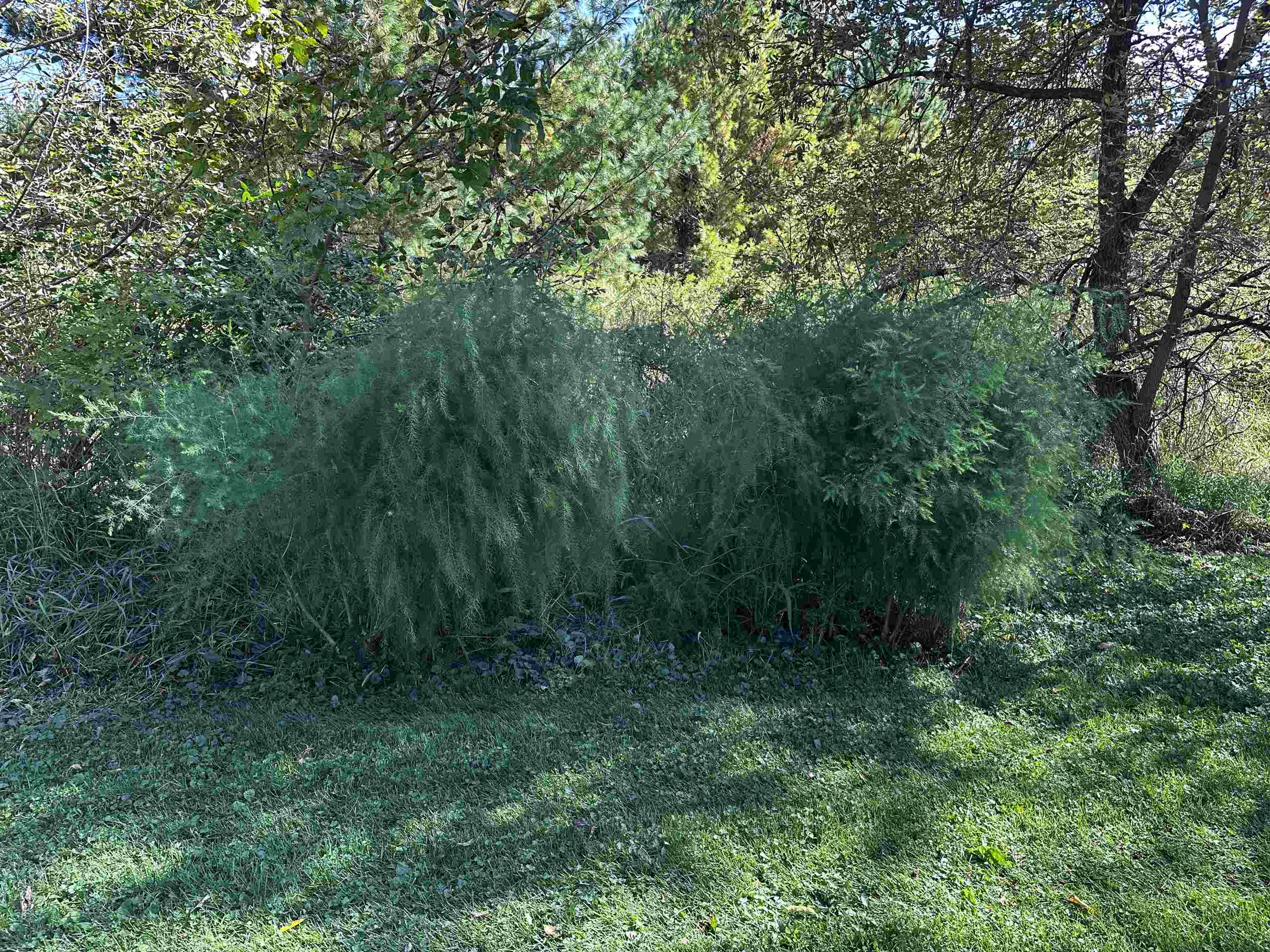 9873 E Anton Road Property Photo 49