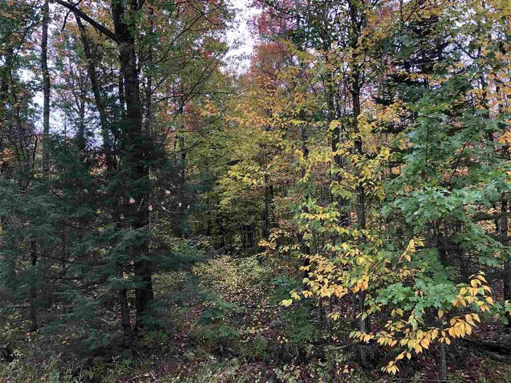 48.6 Acres County Road Jj Property Photo 2