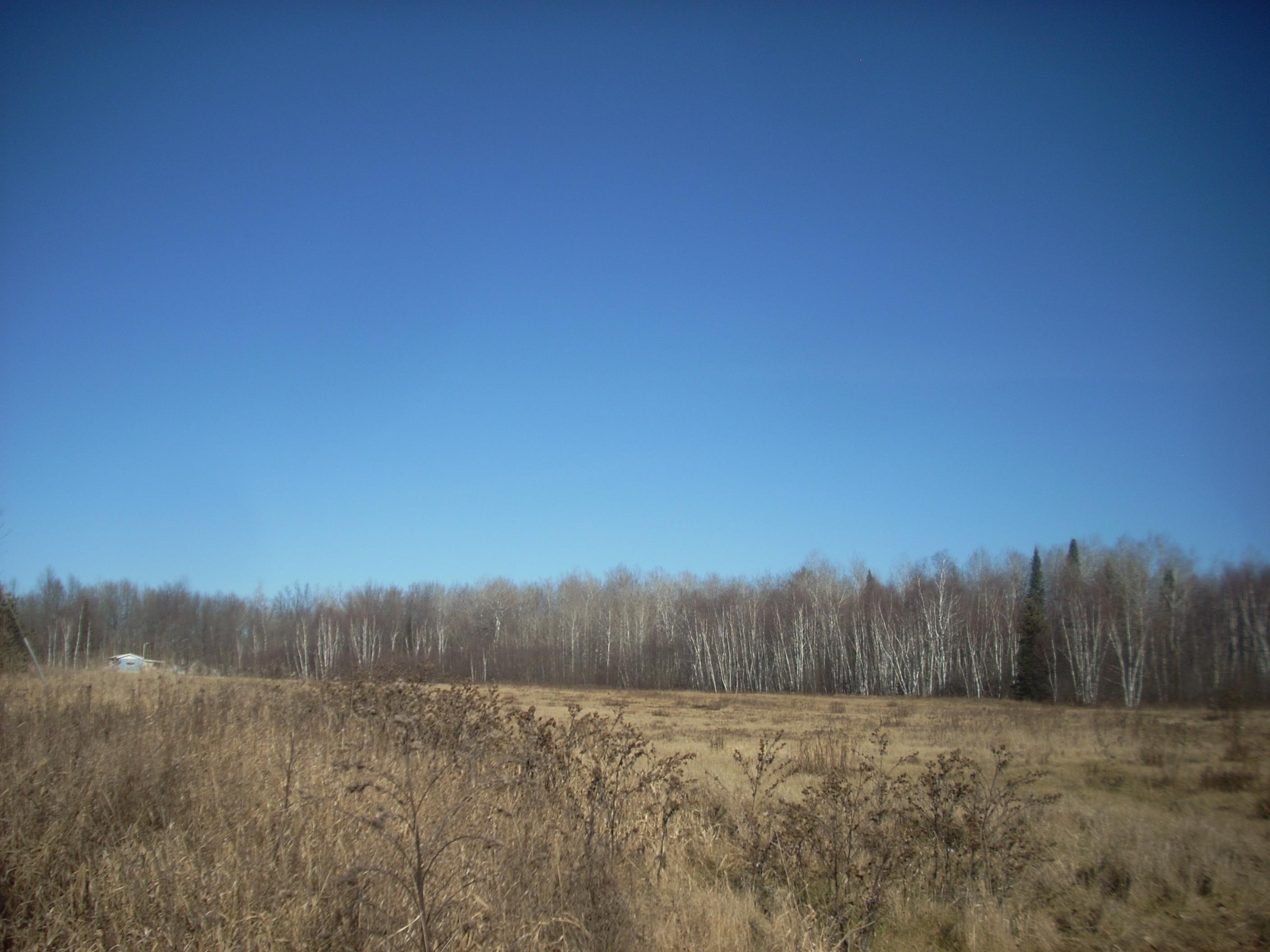 48.6 Acres County Road Jj Property Photo 3